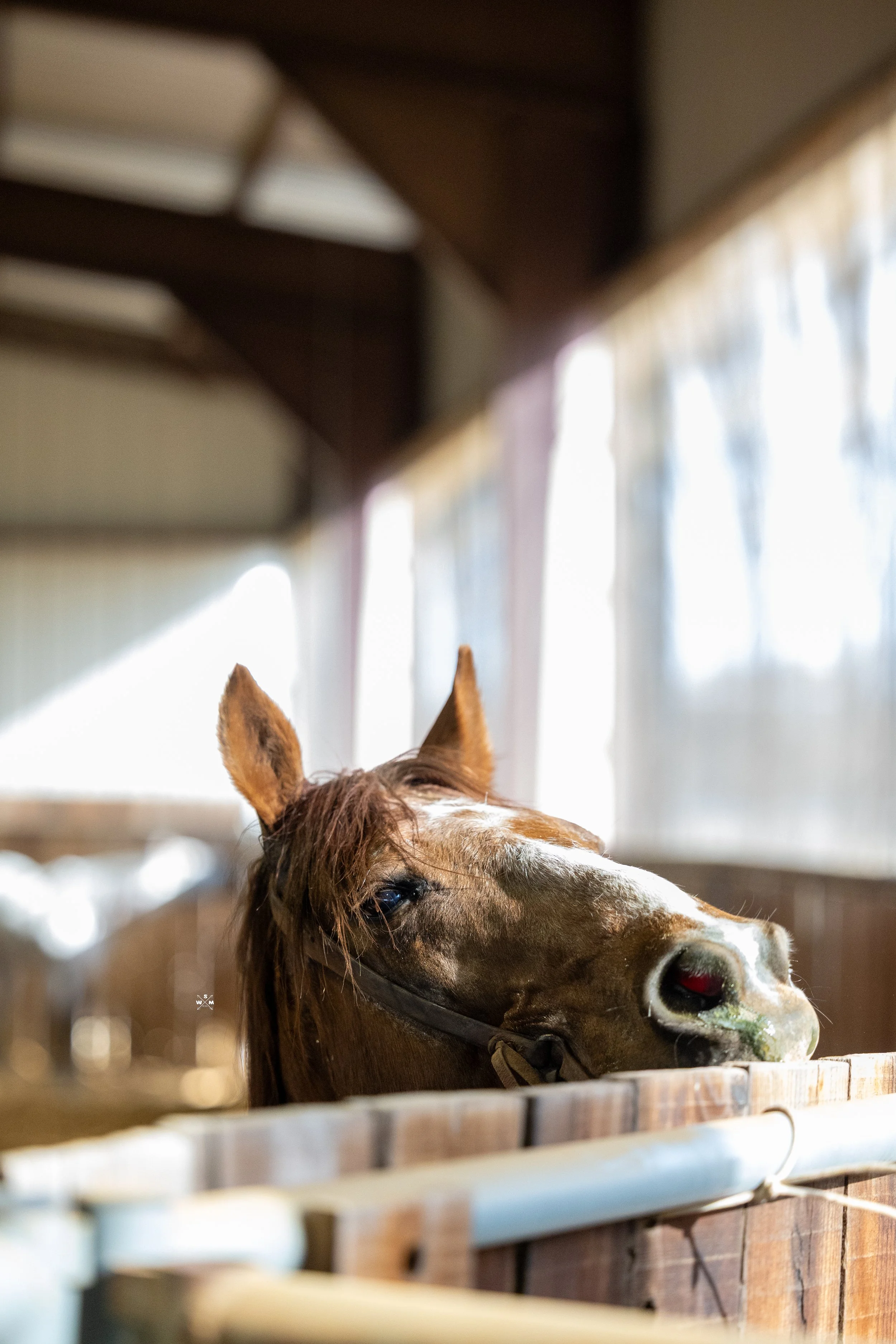 TURNBULL FEB 2026-20.jpg