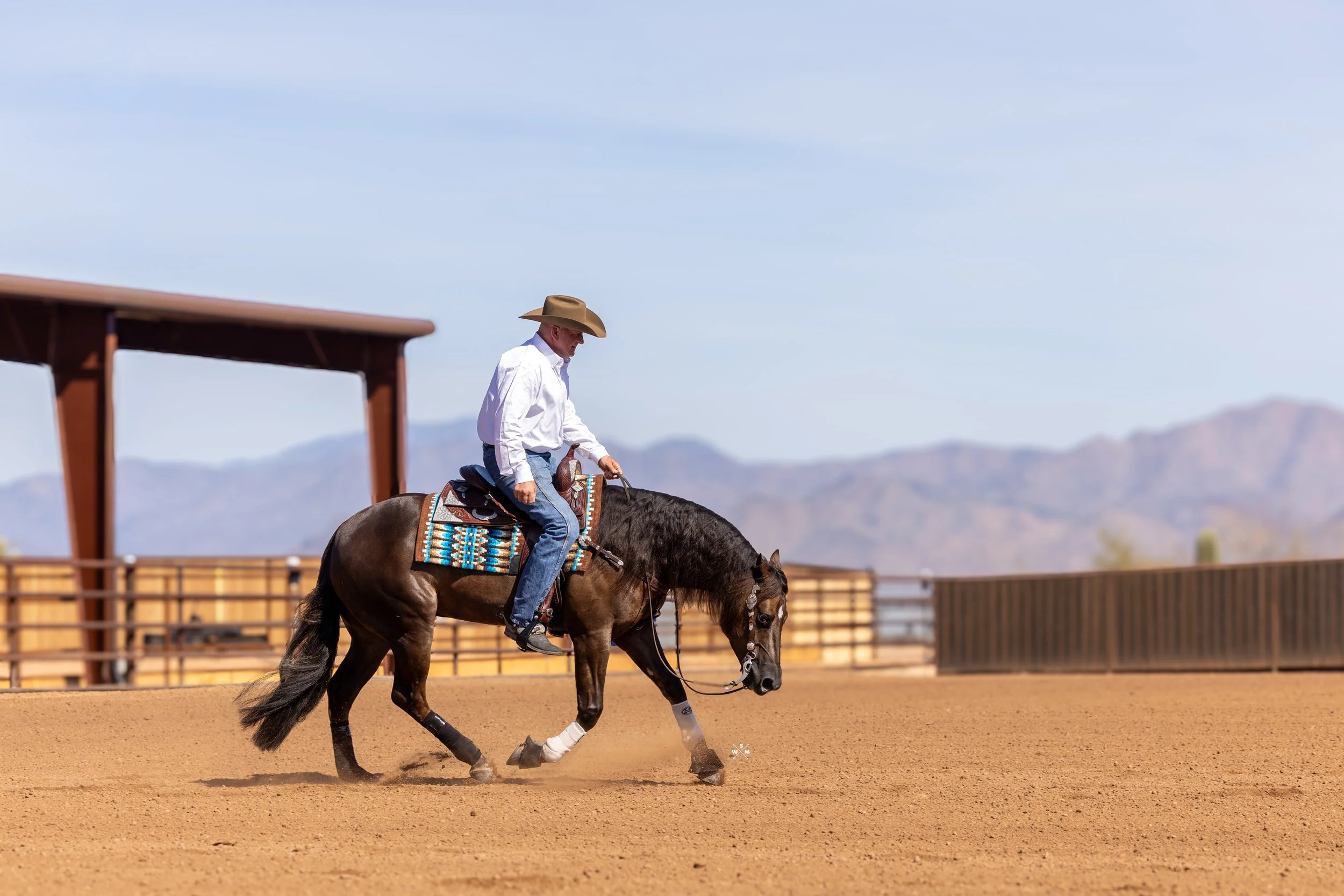 NAYLOR FEB 2026 - ELECTYC--15.jpg