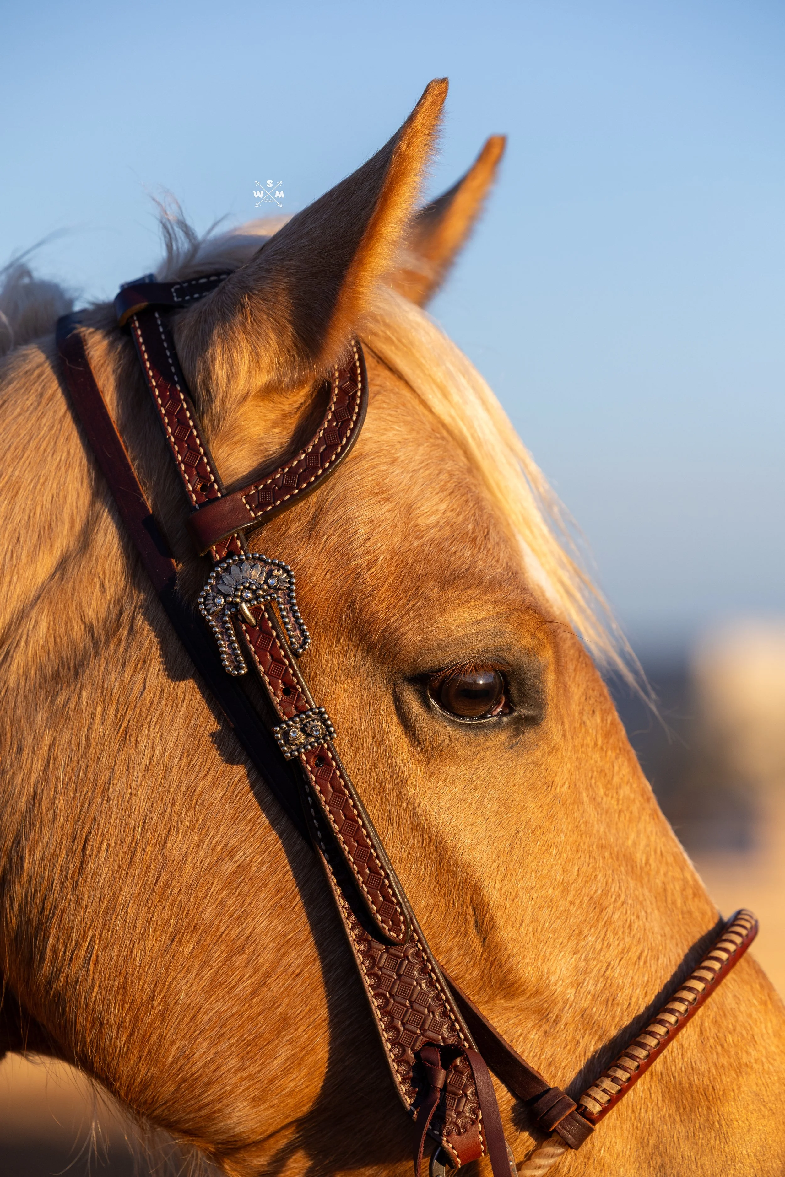 USHER - KAYLEE MARCH 2026-31.jpg