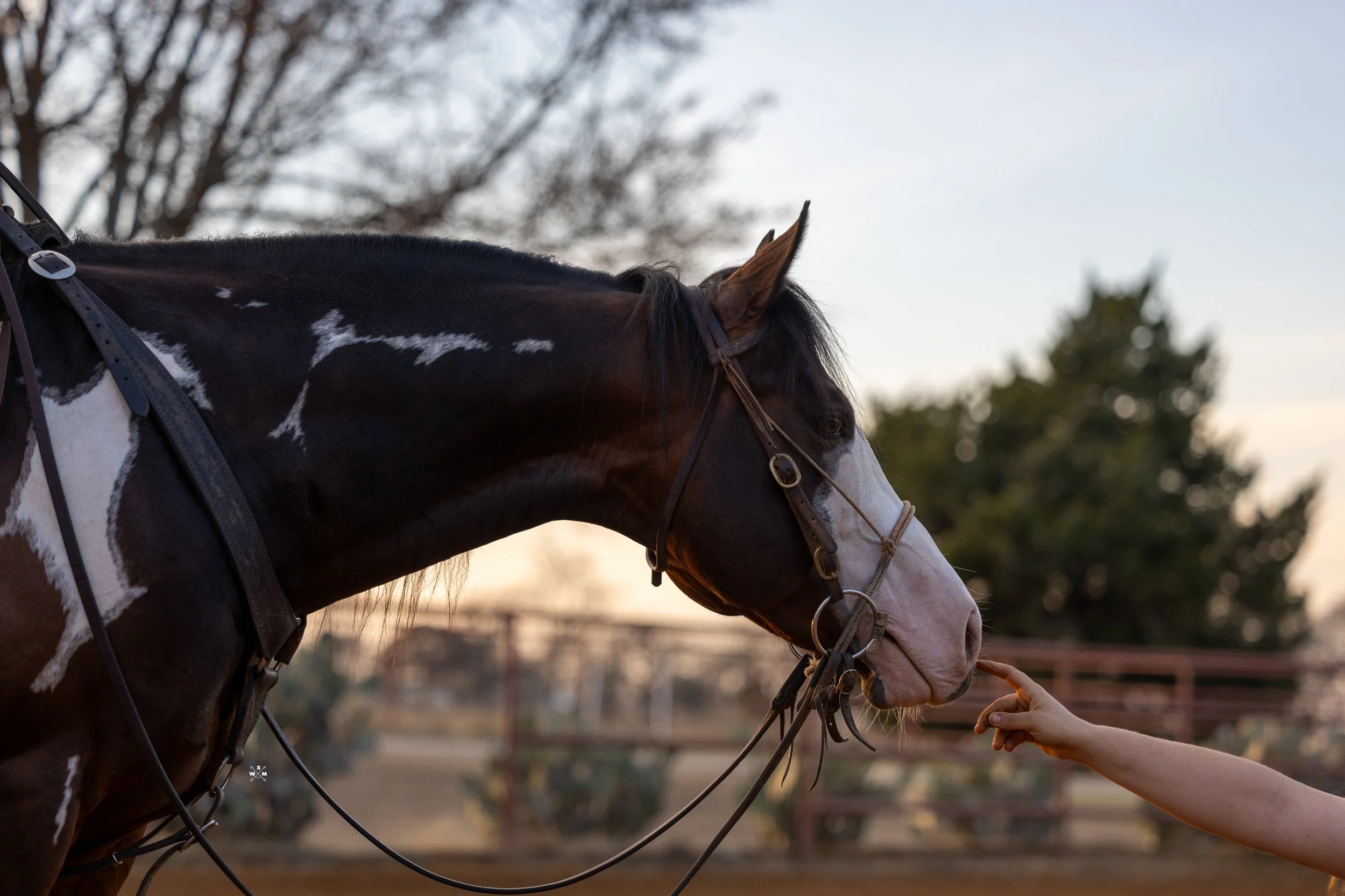 JUNIOR FEB 2026-34.jpg