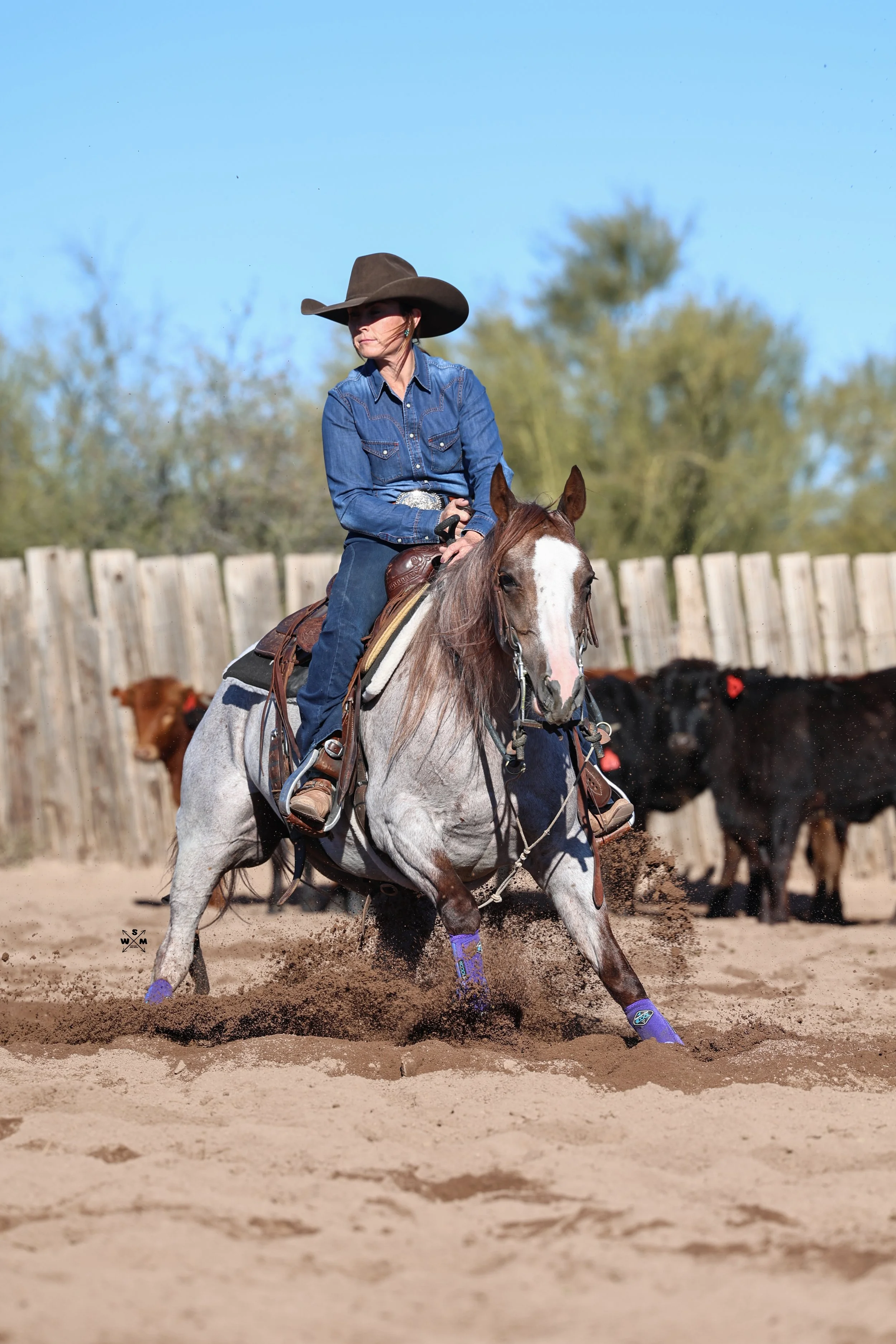 AB PERFORMANCE JAN 2026-35 (1).jpg