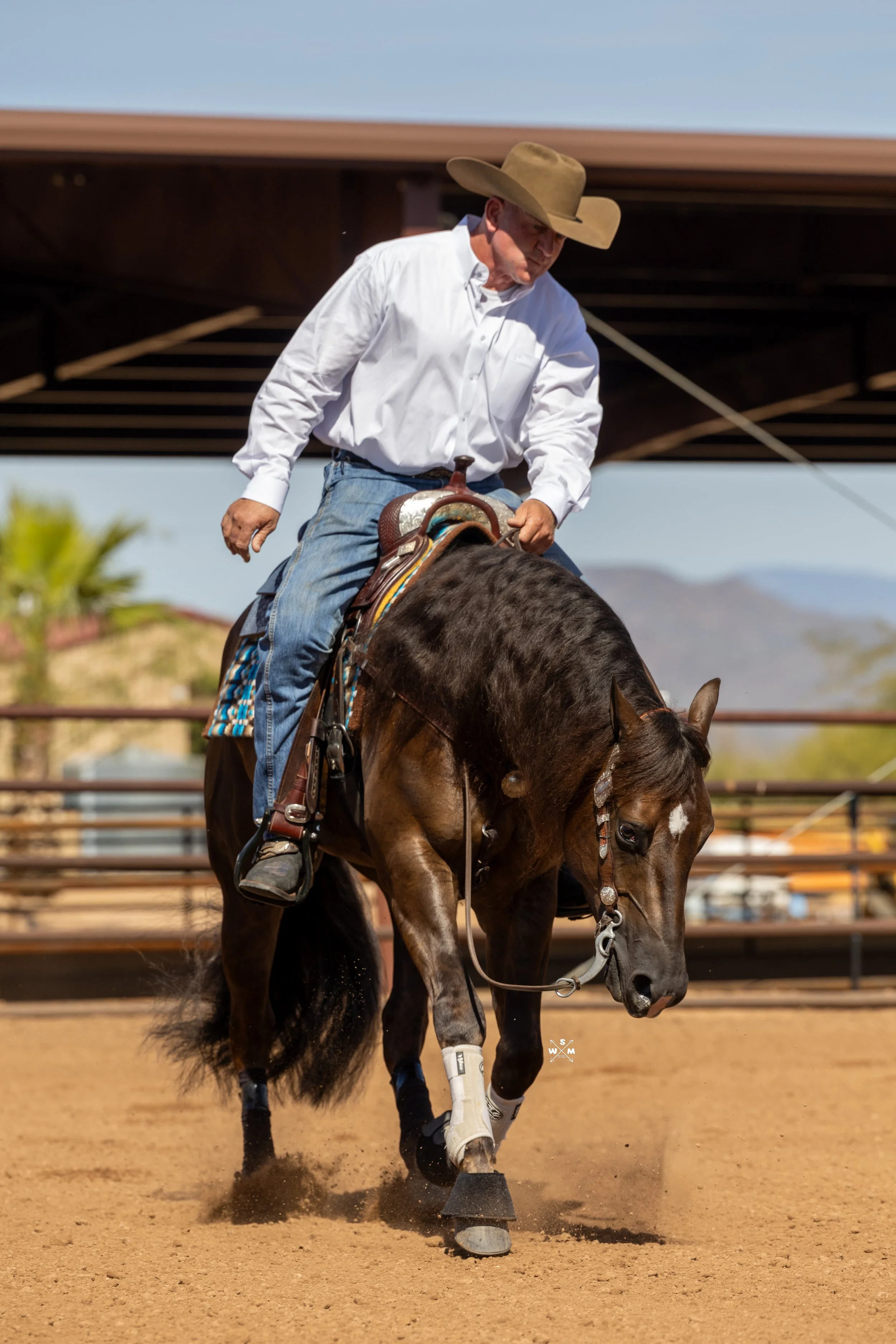 NAYLOR FEB 2026 - ELECTYC-10.jpg