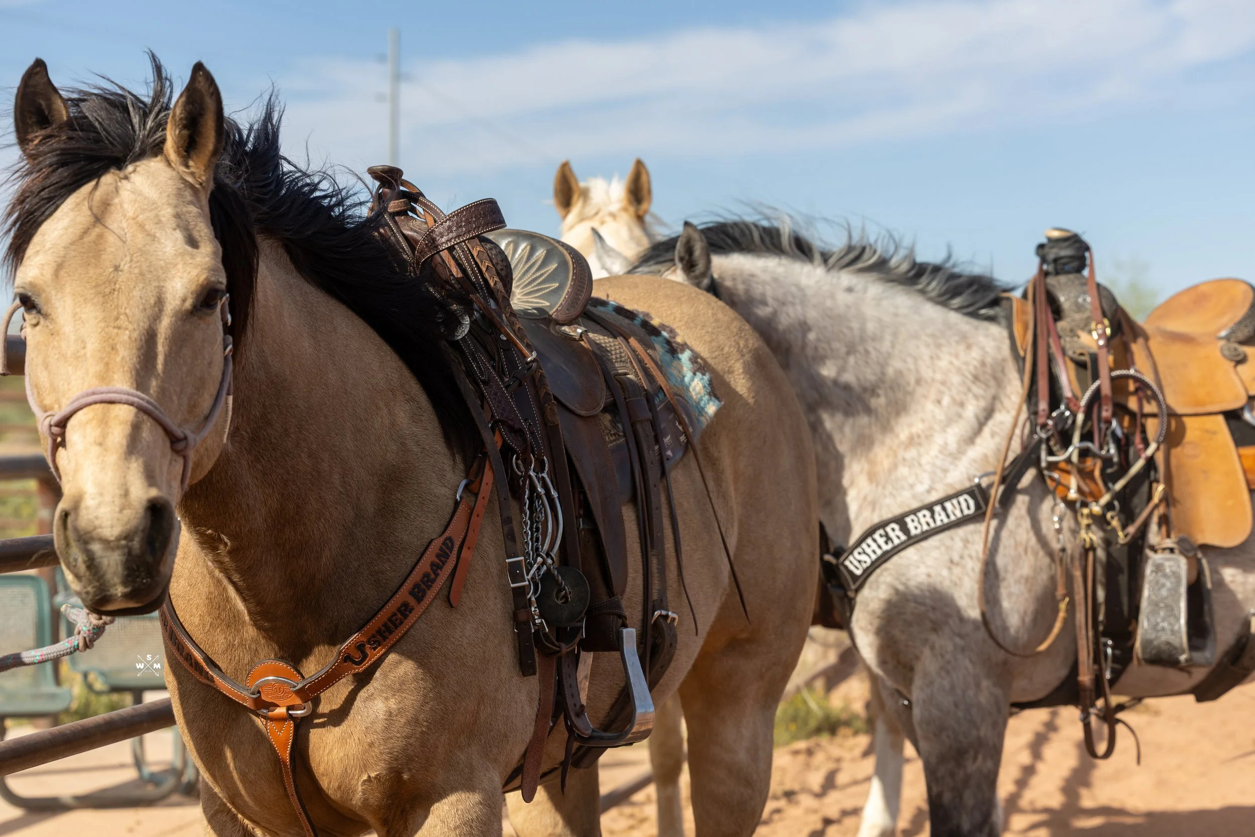 USHER - MARCH 2026 WHITNEY FINLEY-1-10.jpg