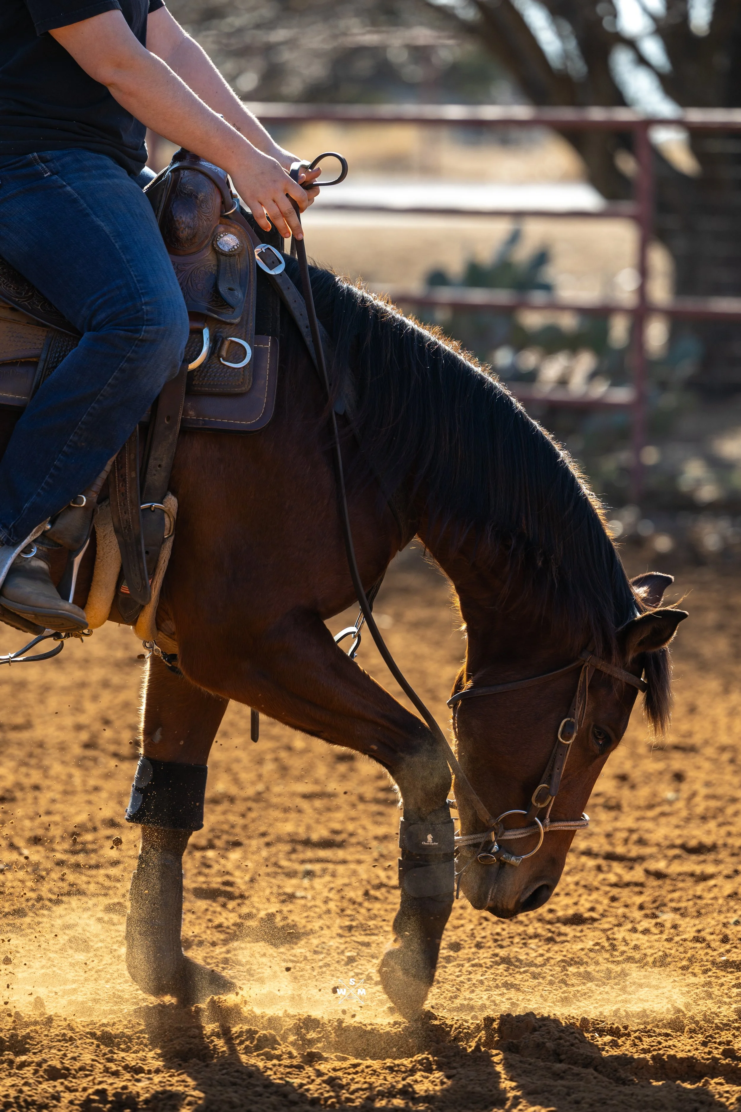 JINN FEB 2026 2-8.jpg