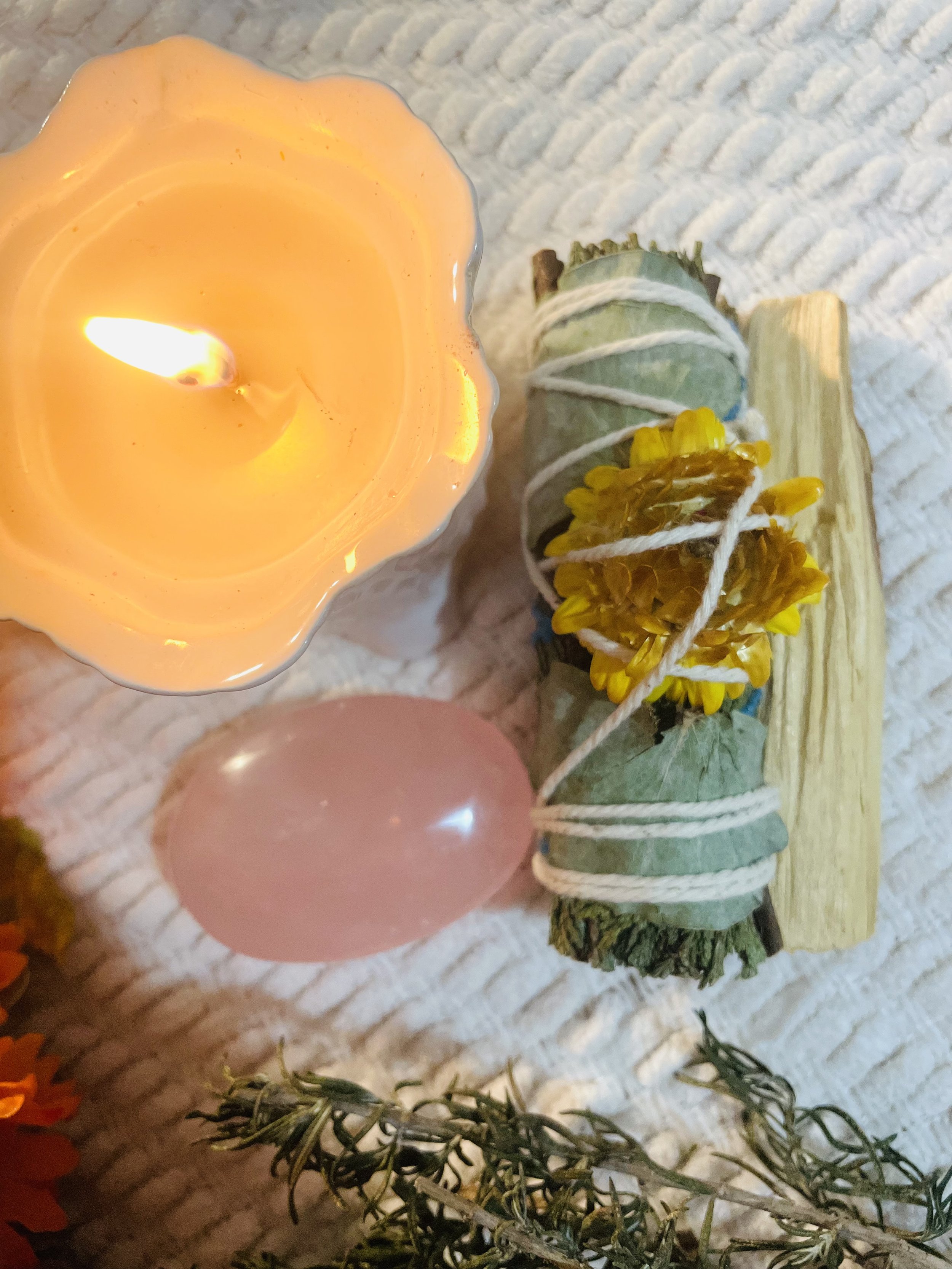 Cedarwood & Palo Santo