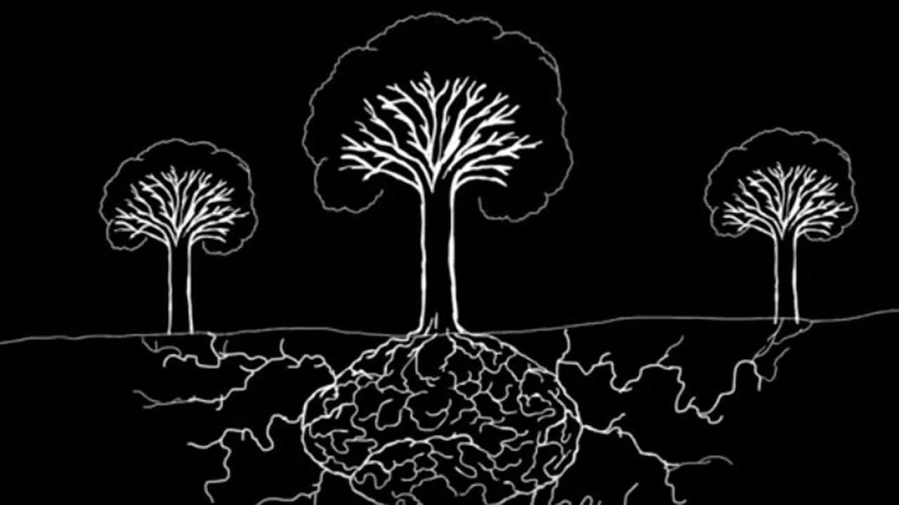 38. Parenting Adults – Growing along with them