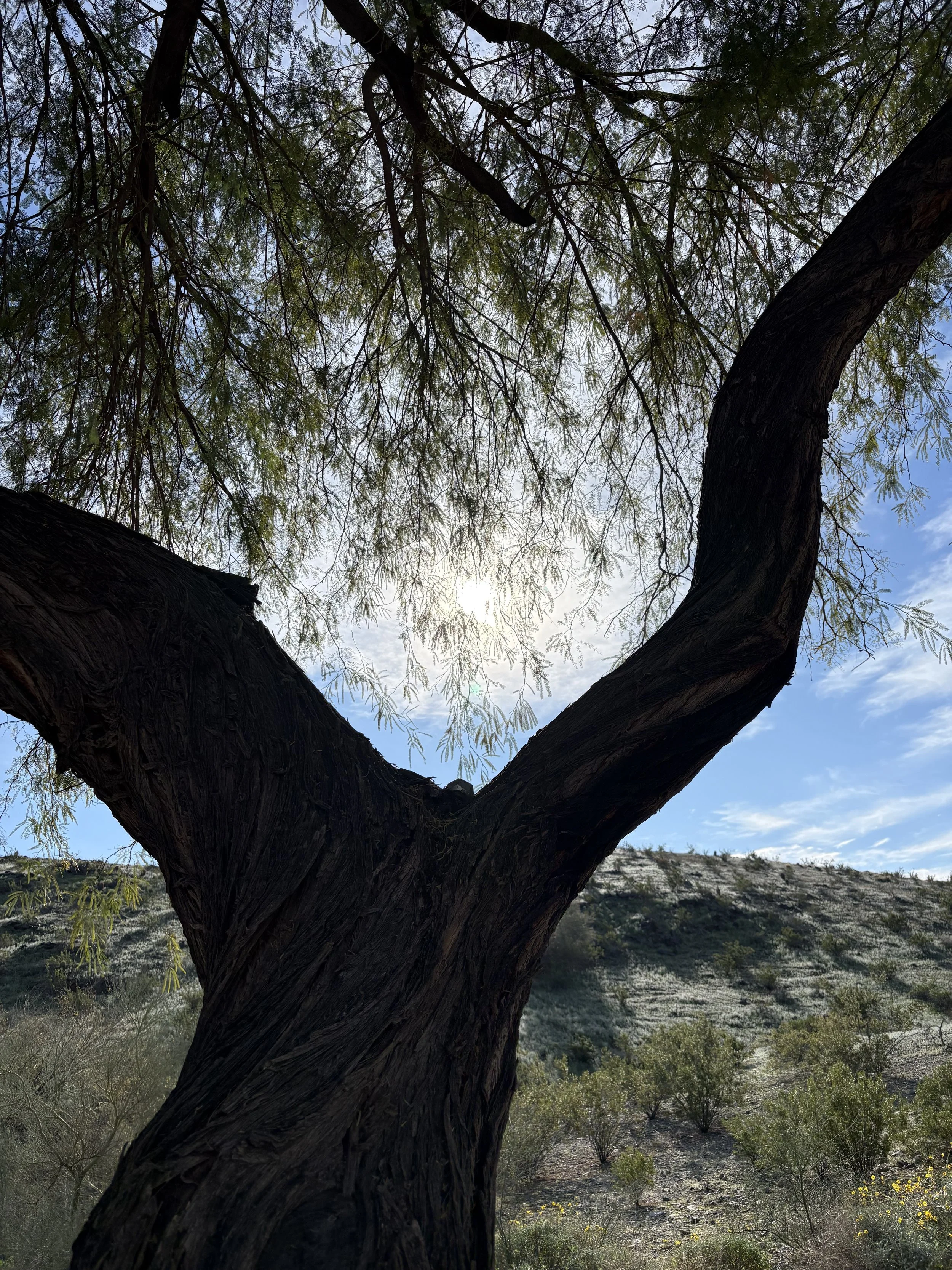 41. Search and Rescue for My Purpose