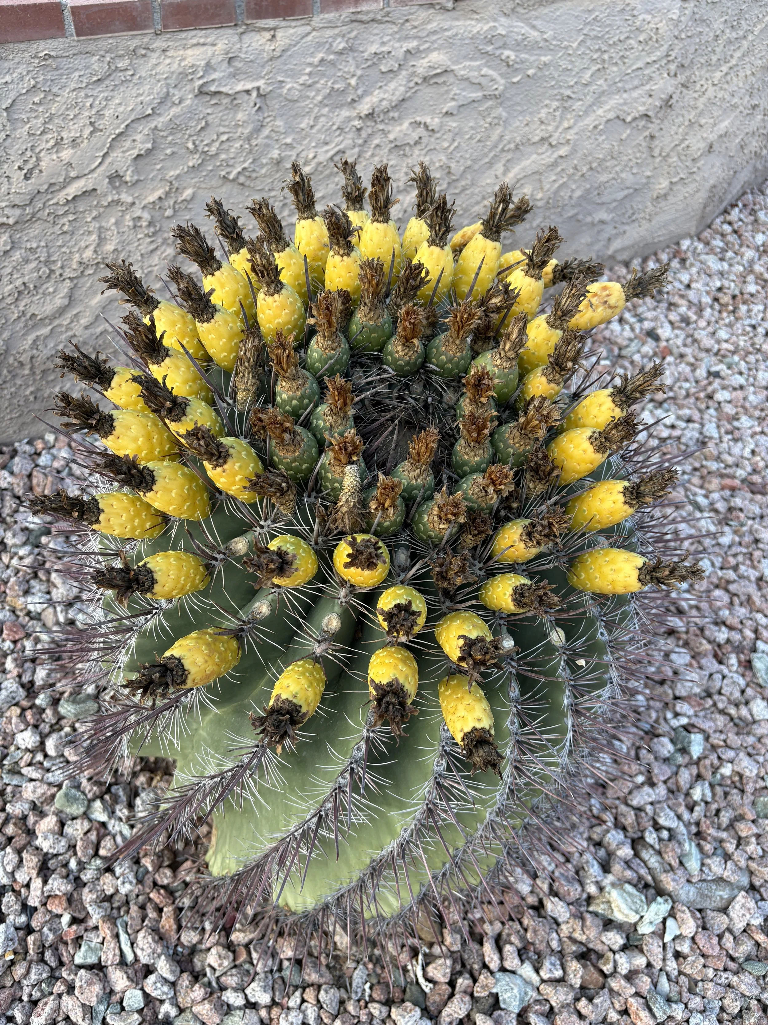 43. Letting Open-Mindedness and Curiosity Fuel Learning