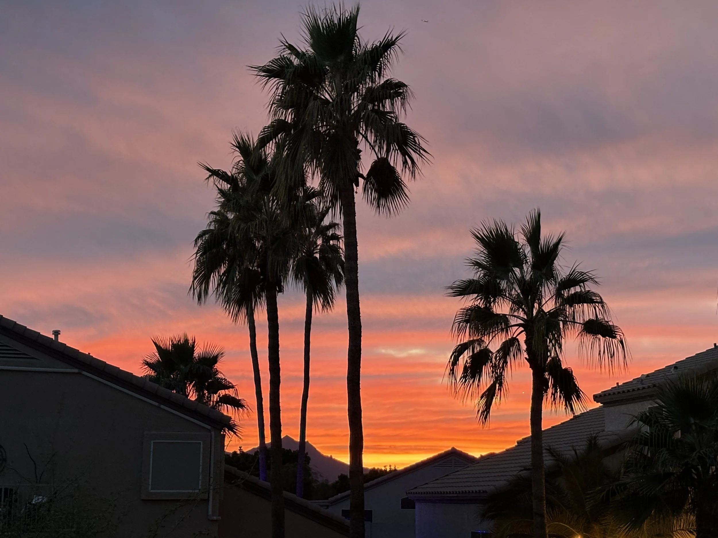 44. Last element of Level 2: The Lifelong Work of Knowing Yourself