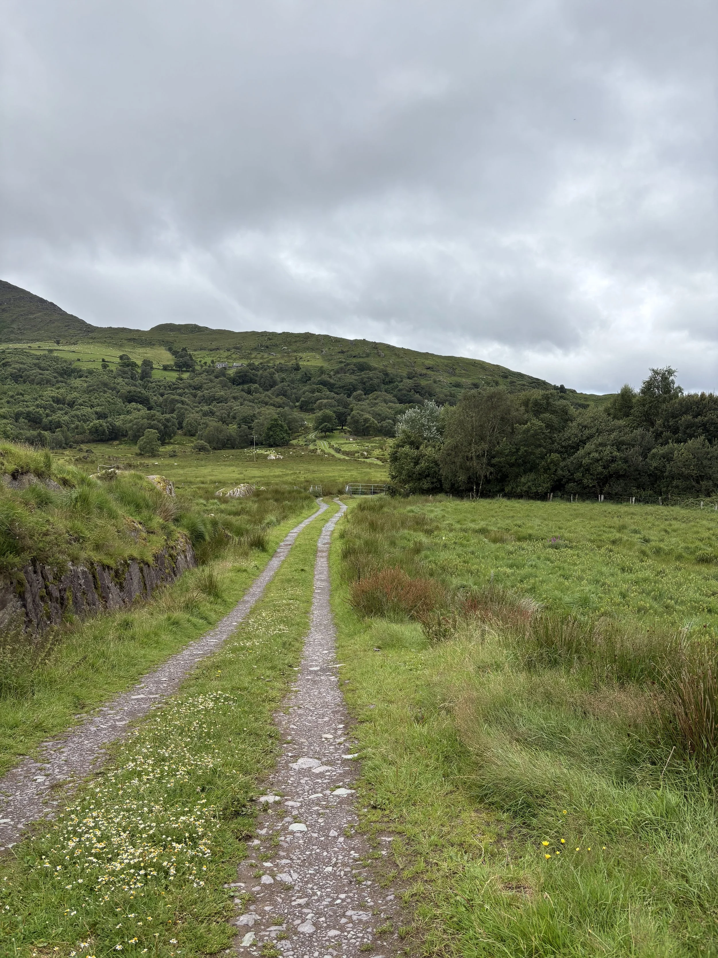 47. The Wild Abandon of My Own Road – An Elder Ritual