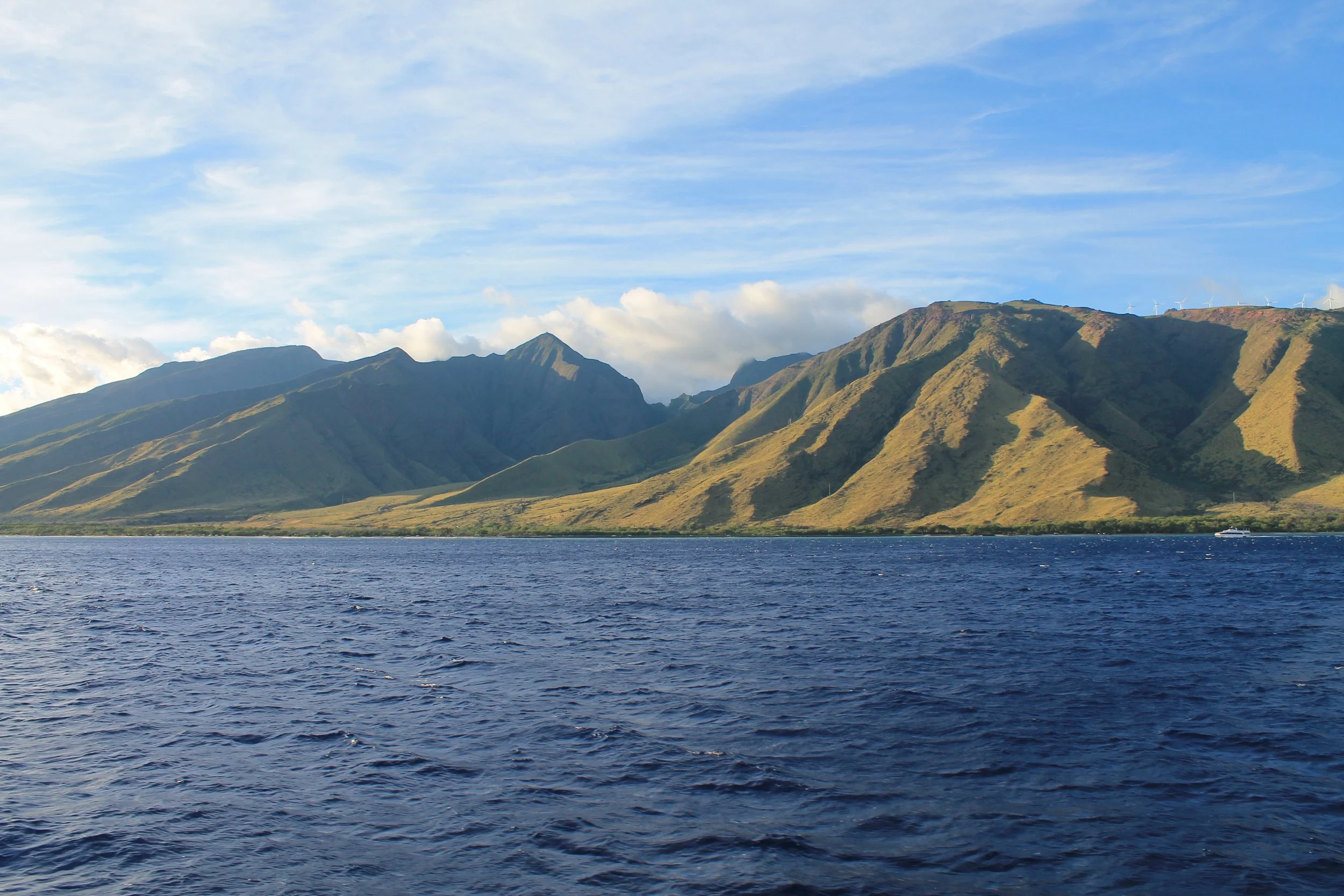 49. Discerning My Personal Values