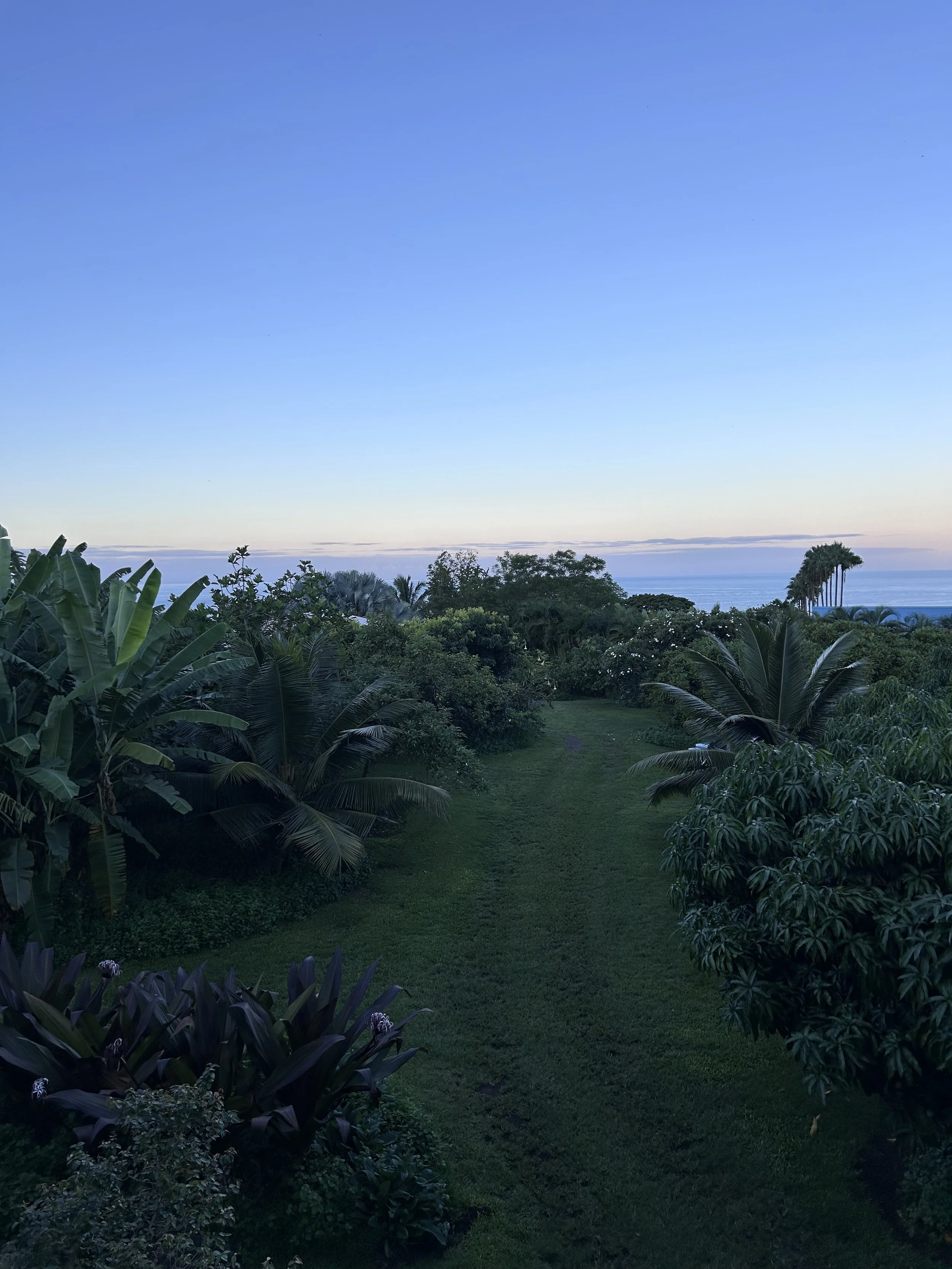 51. A Story about Different Values and How That Can Look in the World