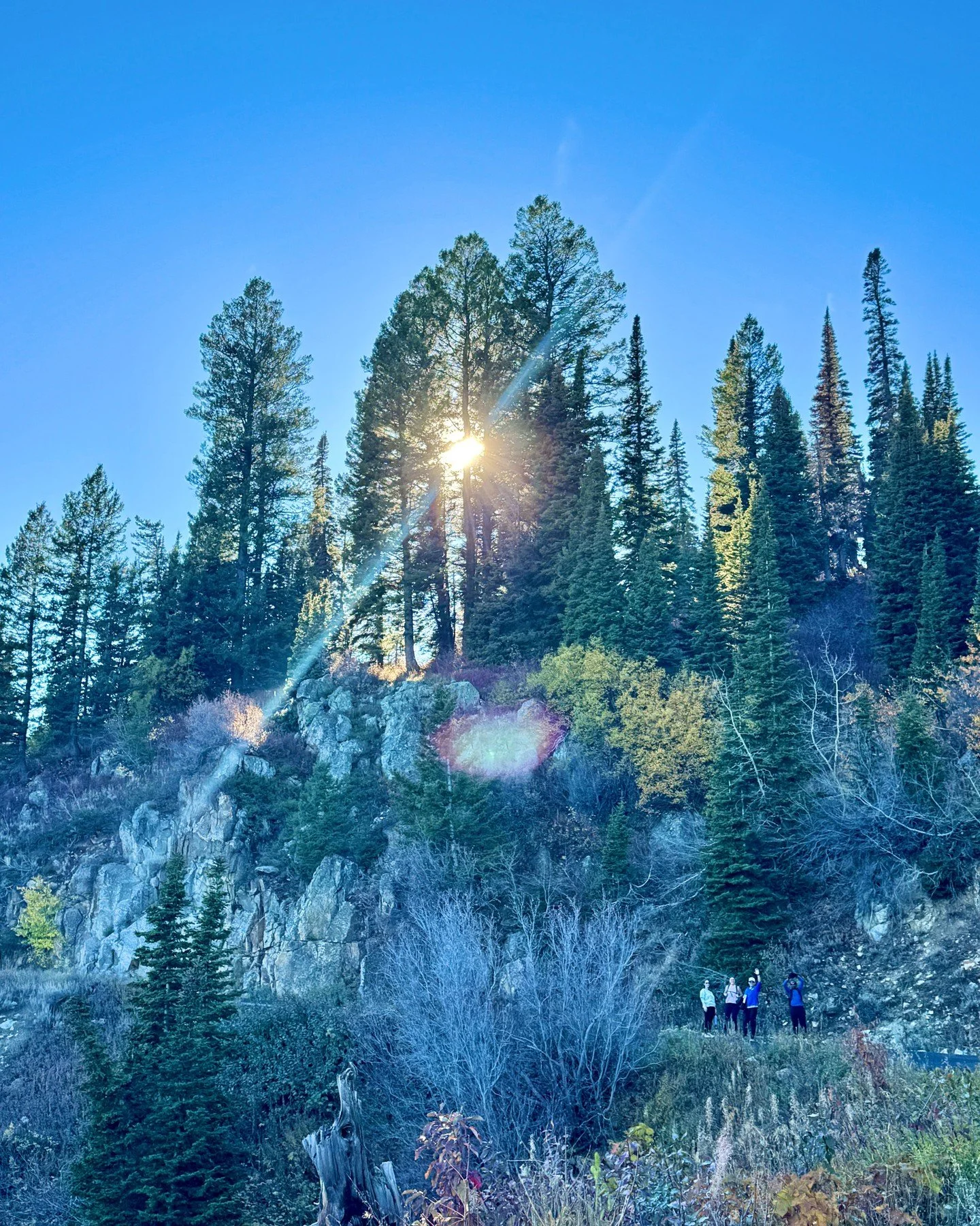 Happy Friday, friends.

Here's a peek at what changing seasons look like in one of our &quot;happy places&quot; &mdash; Jackson Hole, Wyoming. Fall is nature&rsquo;s reminder that change isn&rsquo;t failure but a necessary part of growth.

This seaso