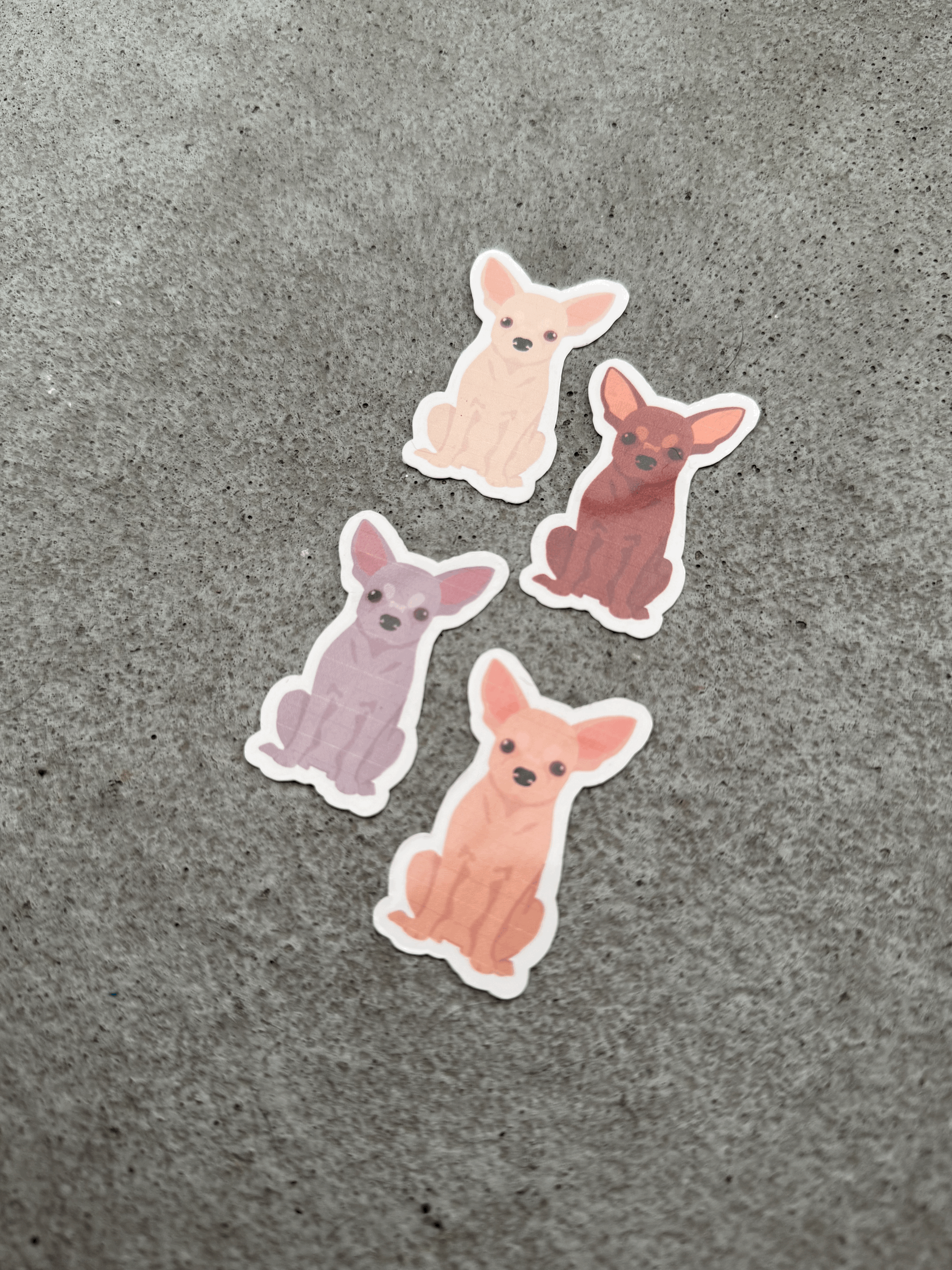 Chihuahuas