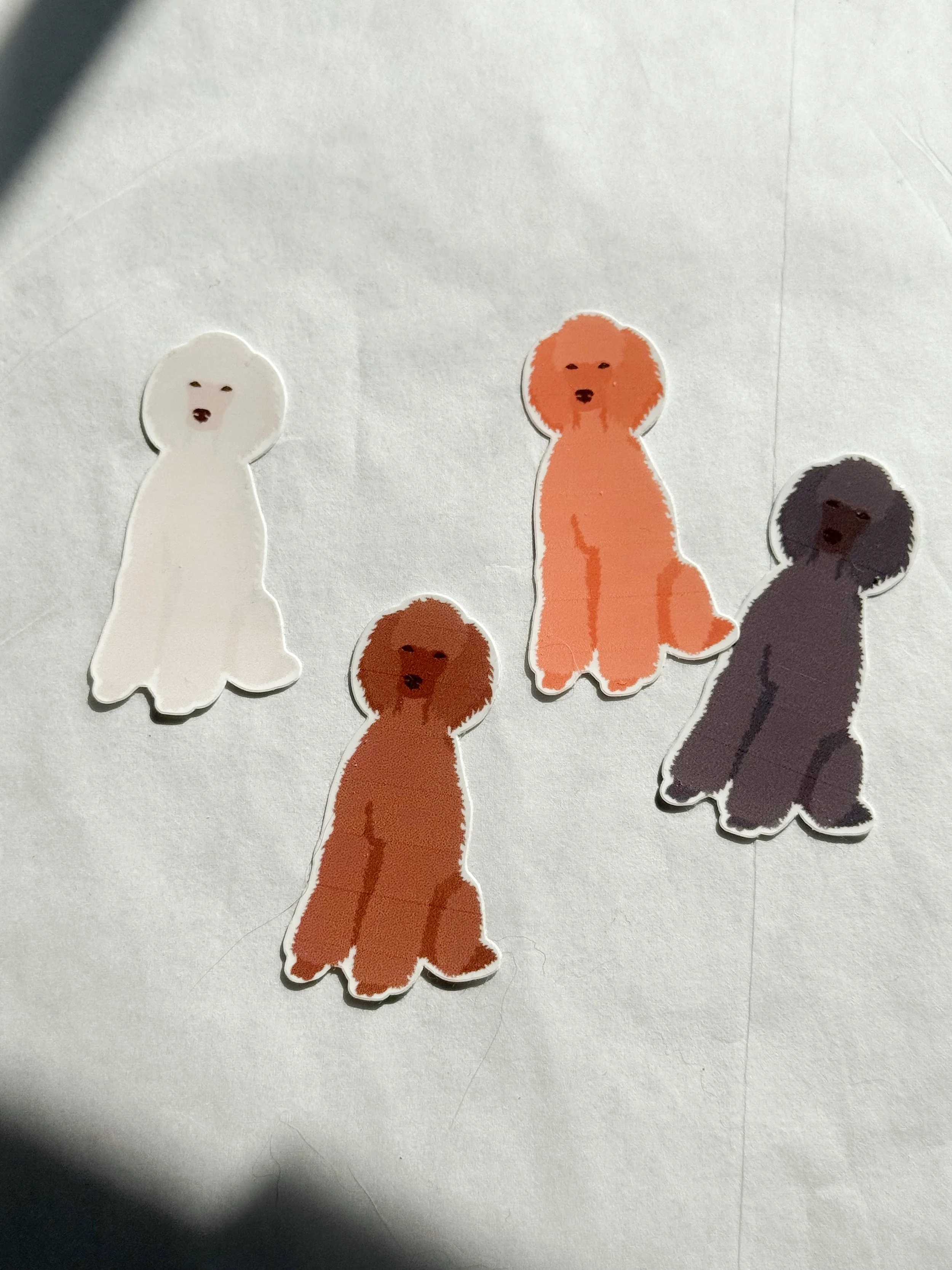 Poodle