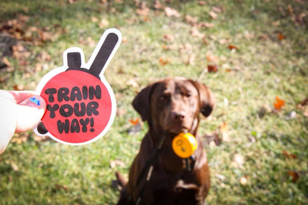 @the_brew_dogs