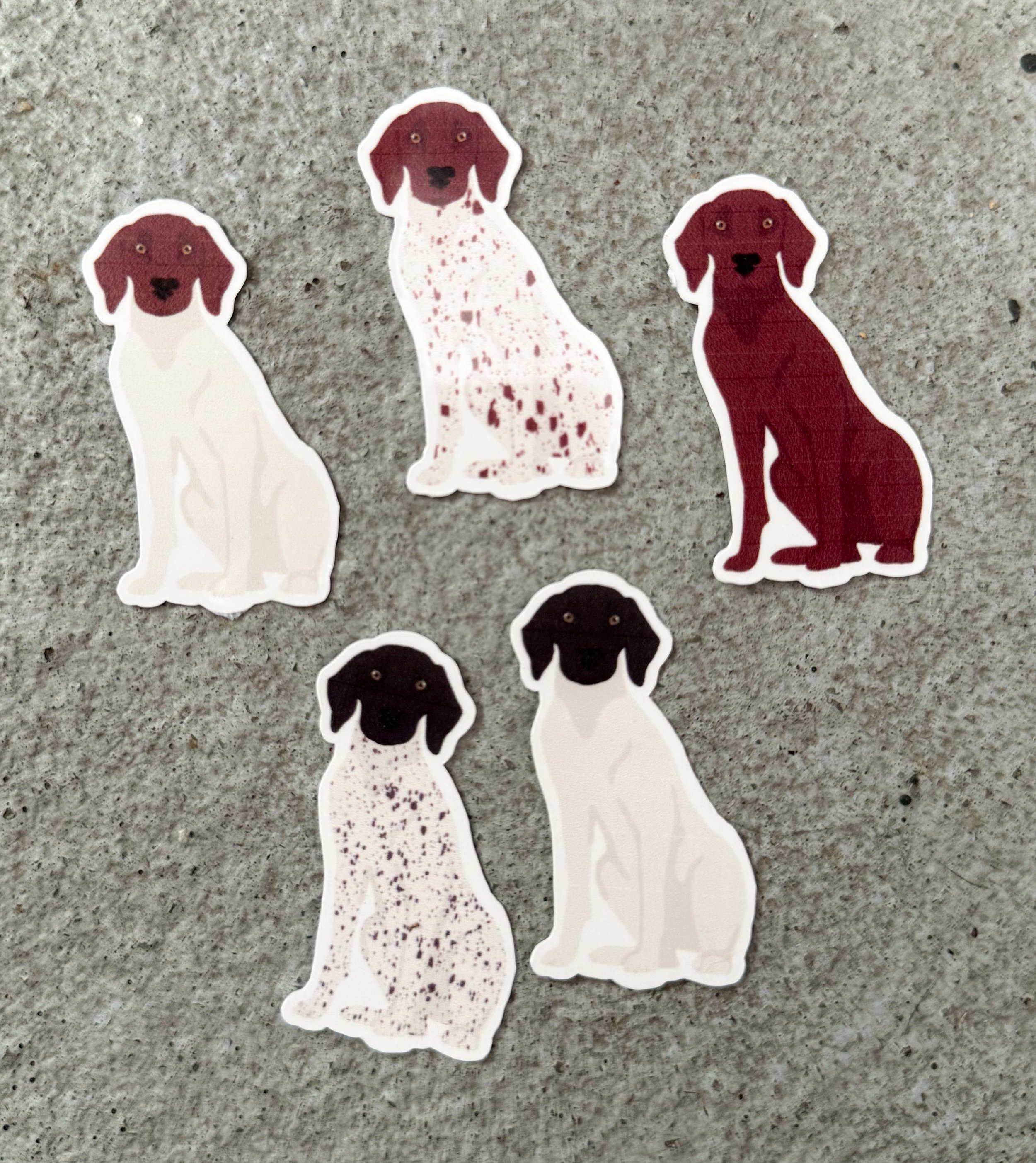 German Shorthair Pointer