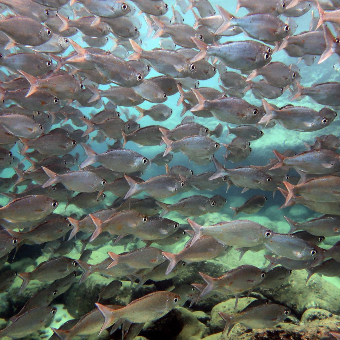 20 Year Impact Report