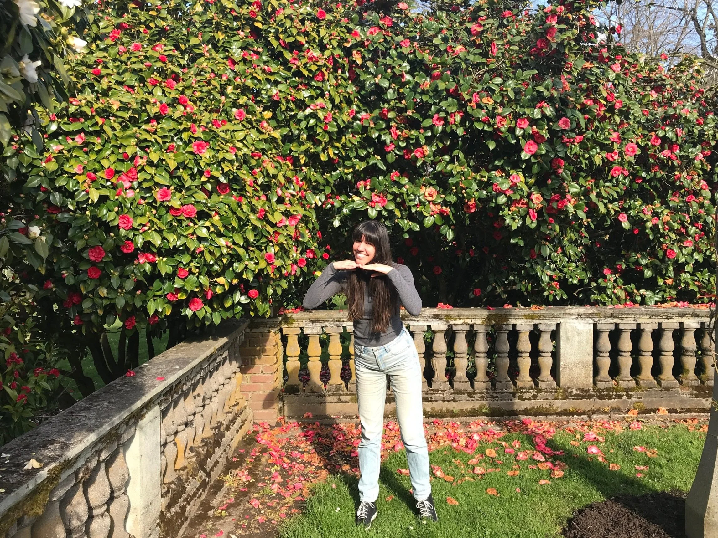 A woman with long dark hair and a gray long sleeve shirt standing near a stone railing in front of a large shrub with pink and white flowers, on a sunny day.