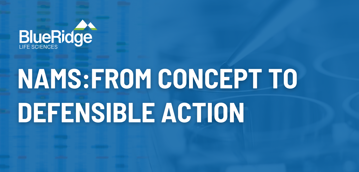 From Theory to Practice: A Strategic Guide for Defensible NAMs Implementation