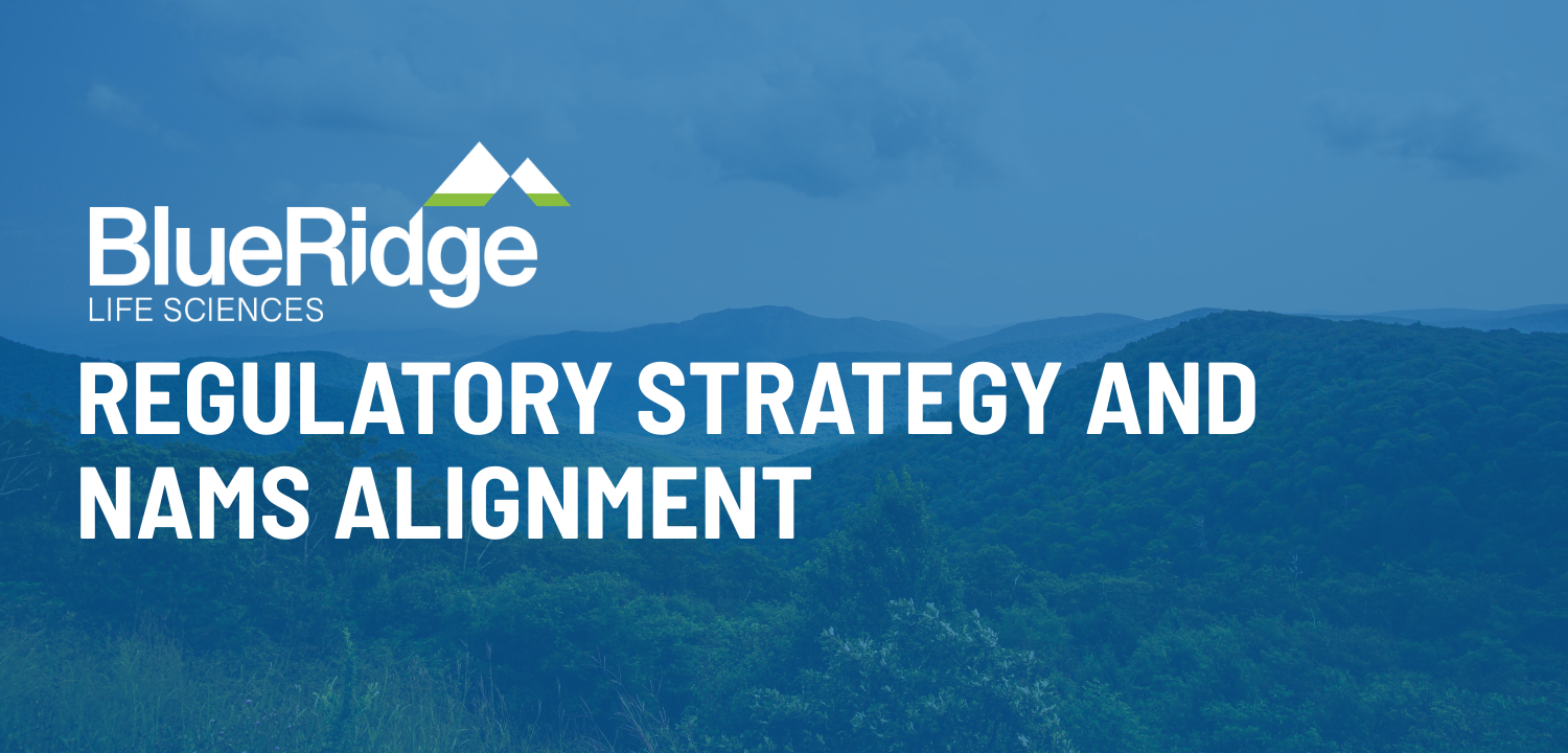 Turning Complexity Into Strategy: Regulatory Alignment Through NAMs 