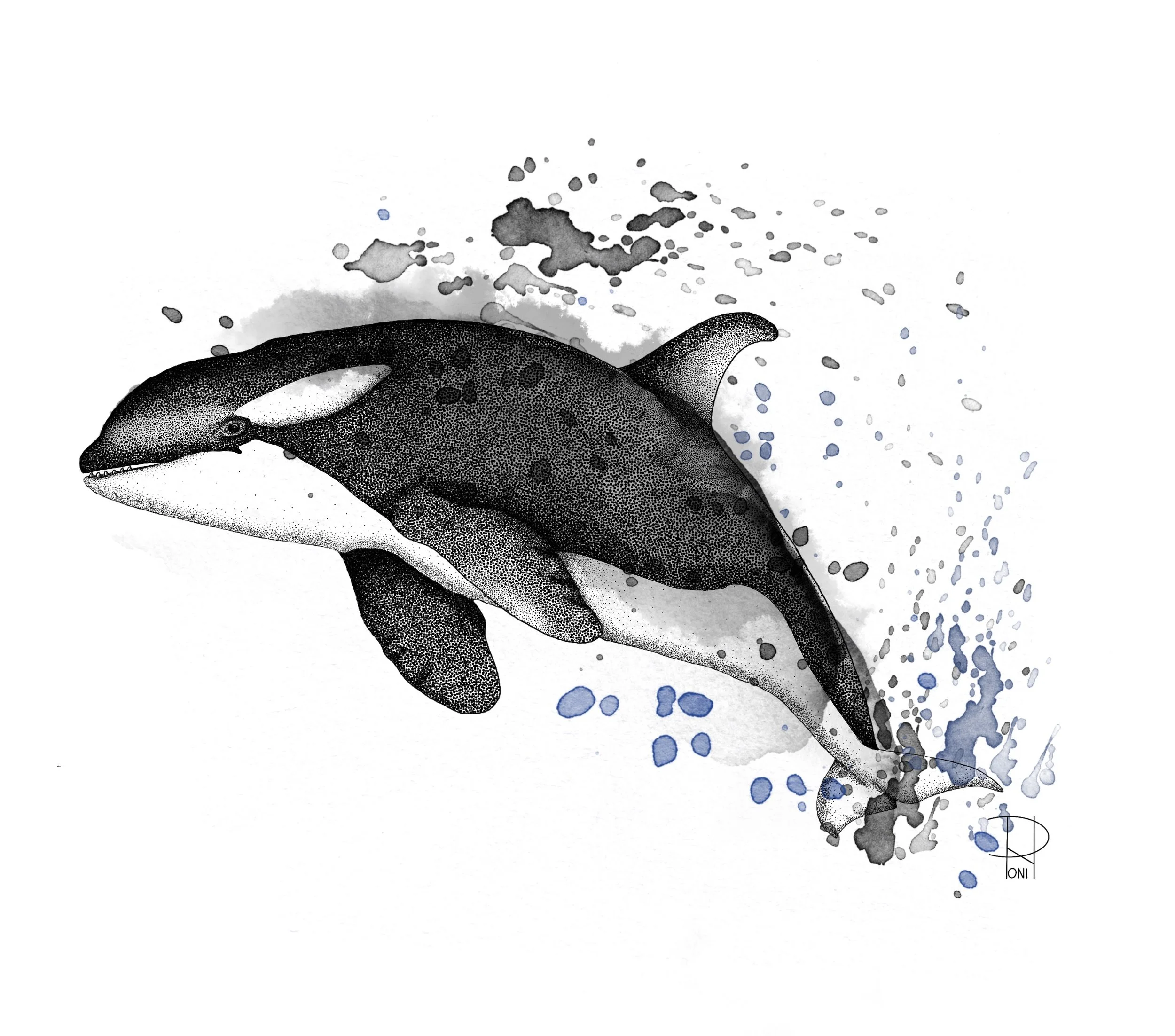 Orca_Dot_work.jpg
