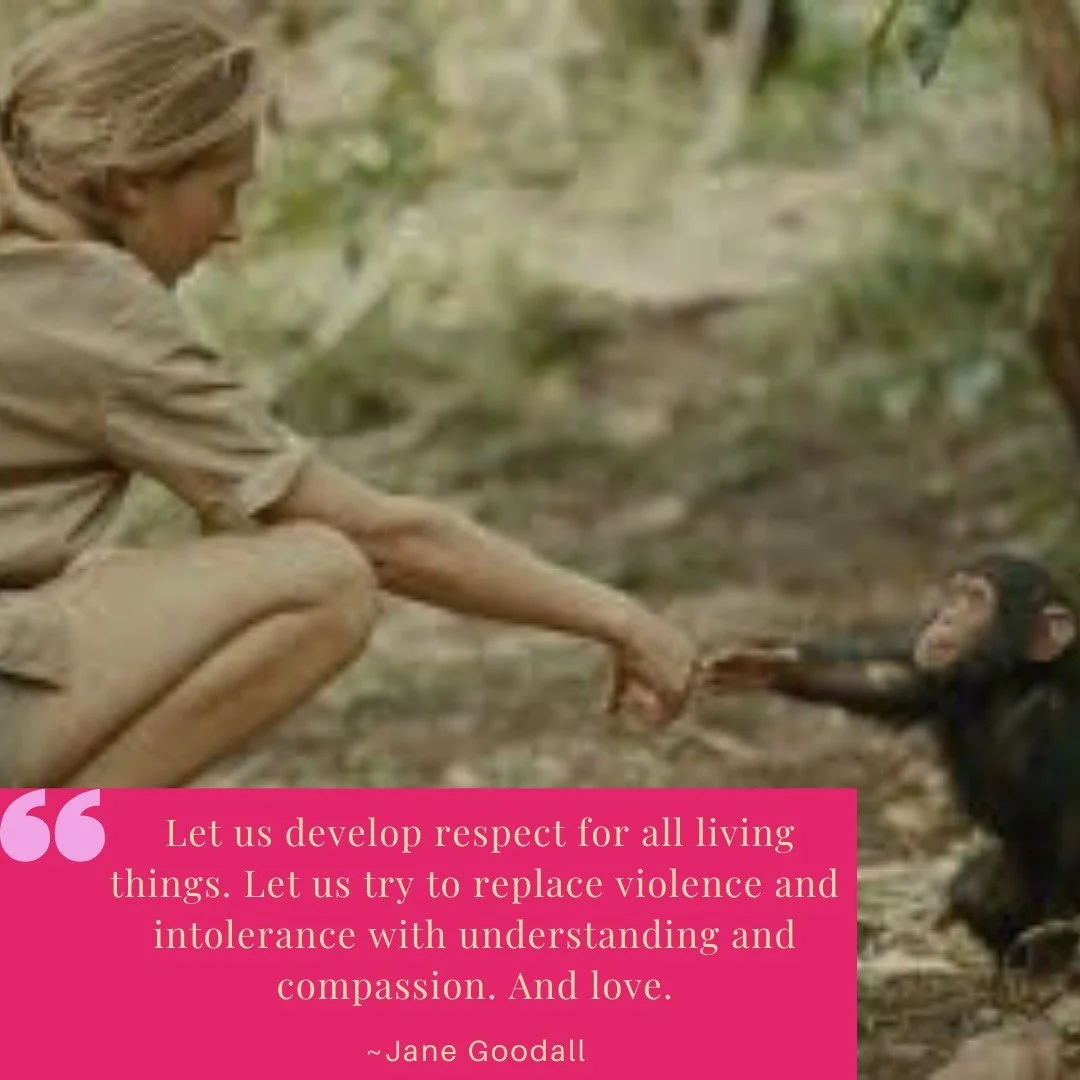 "I think empathy is really important, and I think only when our clever brain and our human heart work together in harmony can we achieve our full potential."
Happy Birthday to scientist, primatologist, anthropologist, conservation activist,