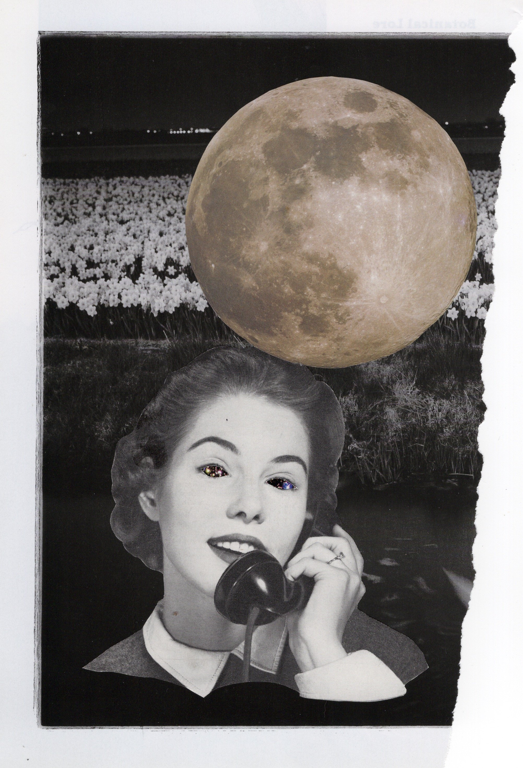 telephone.jpg
