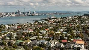 Maximising Long-Term Rental Yield in New Zealand: What Really Works&nbsp;