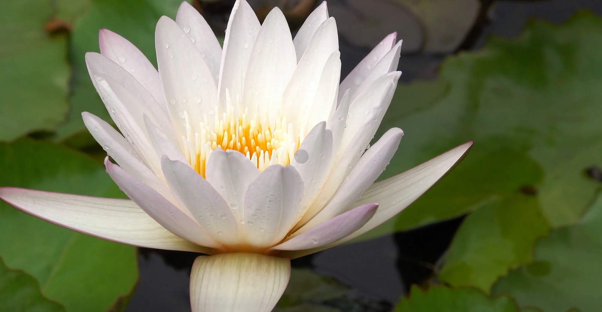 Screenshot 2026-02-26 154545.png