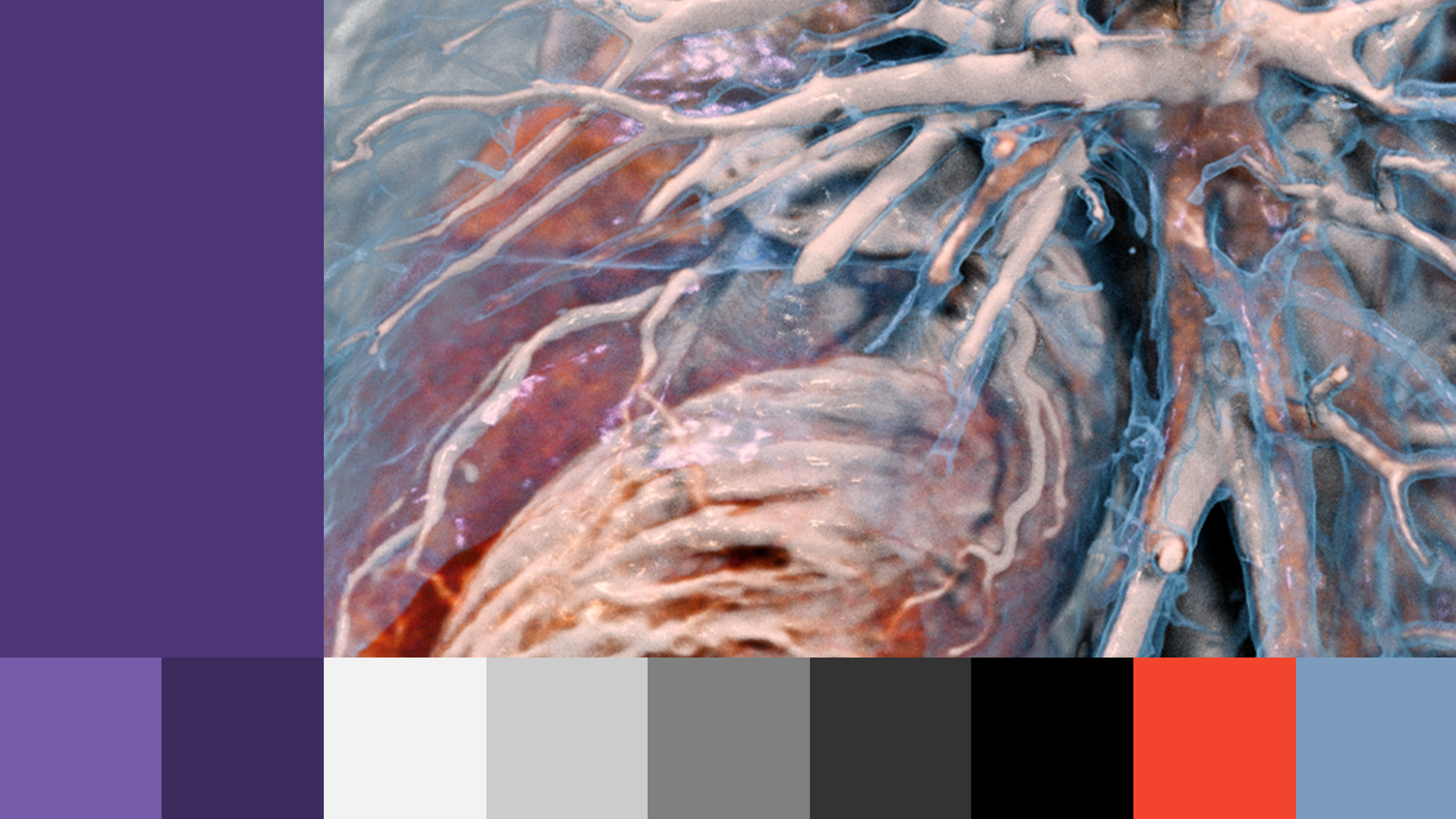 Color@2x.png