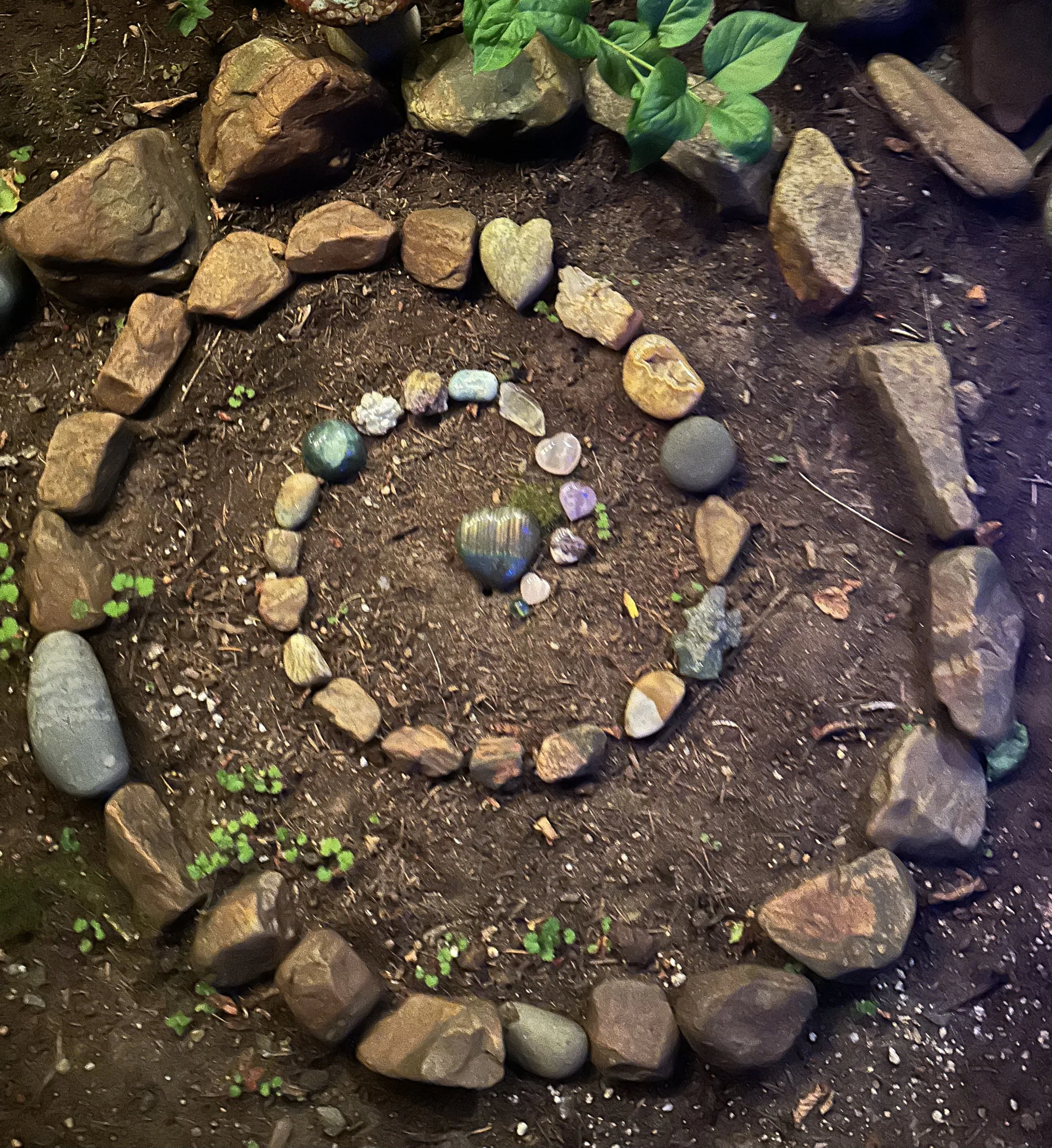 A spiral arrangement of various rocks and gemstones on dirt, with small green plants surrounding it.