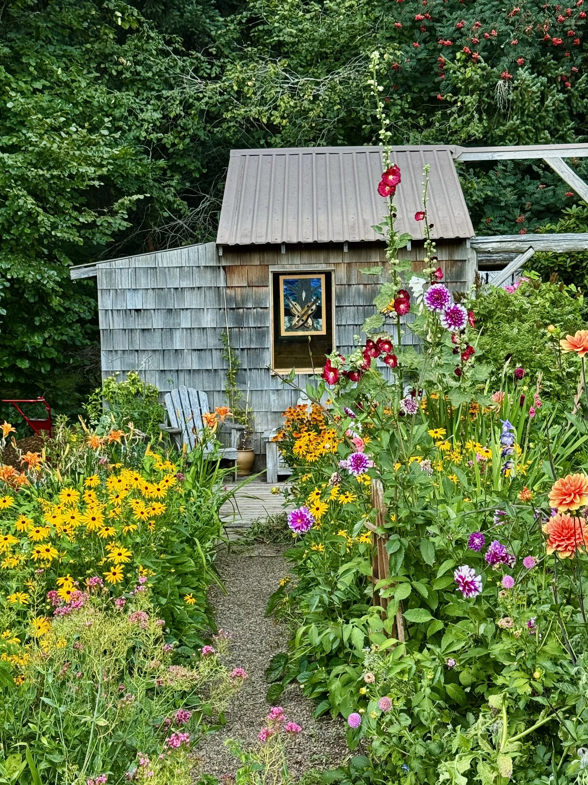 A garden pathway surrounded by colorful flowers leading to a small, rustic garden shed with weathered wooden walls and a metal roof. There are Adirondack chairs in front of the shed, with a framed picture hanging on the shed wall, and lush green trees in the background.