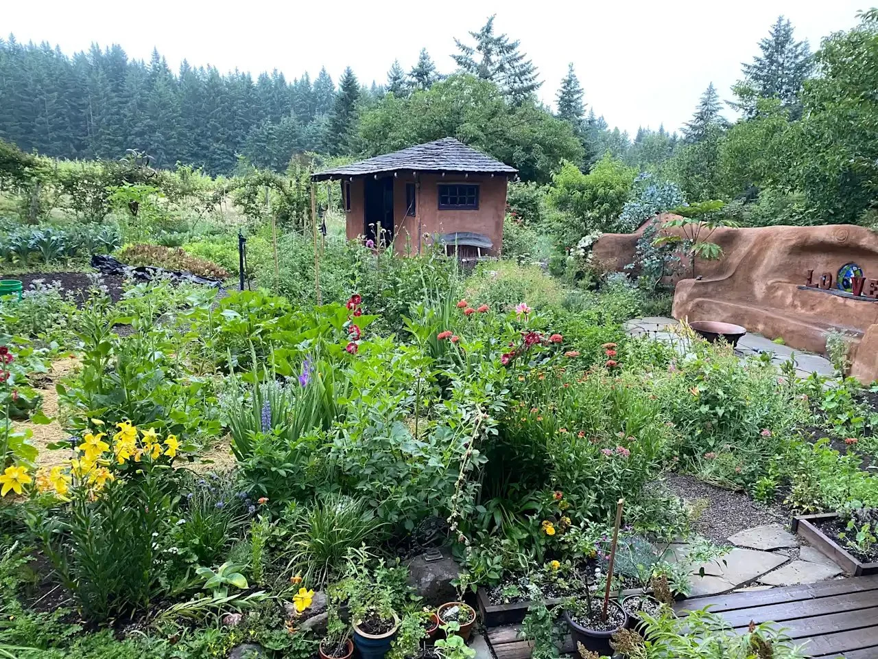 A lush garden with a variety of colorful flowers, green plants, and trees, featuring a small wooden shed in the background, surrounded by dense forest.