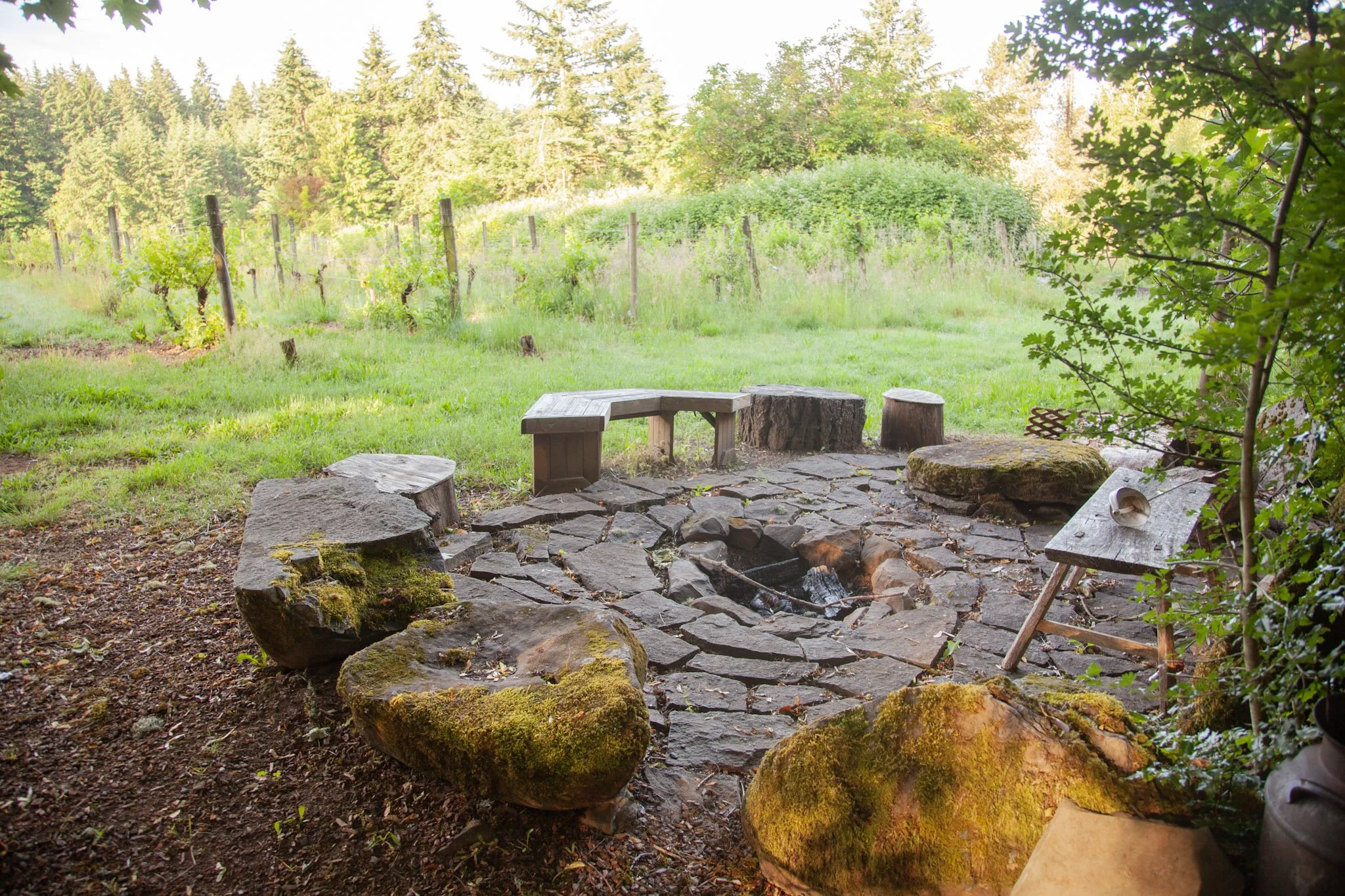 A rustic outdoor seating area with wooden benches and tree stumps arranged around a small fire pit, on a stone patio, overlooking a lush green field with rows of vines and tall trees in the background.