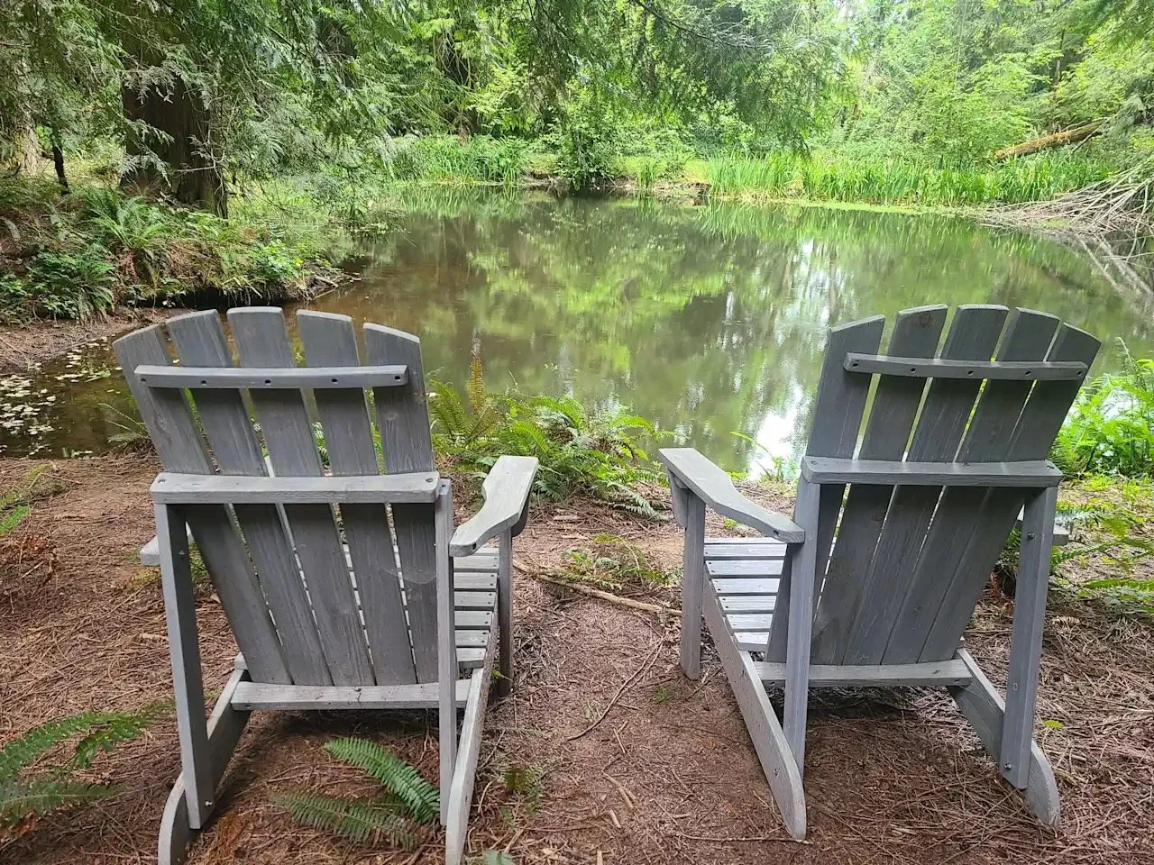 Two wooden rocking chairs facing a pond surrounded by lush green trees and plants.