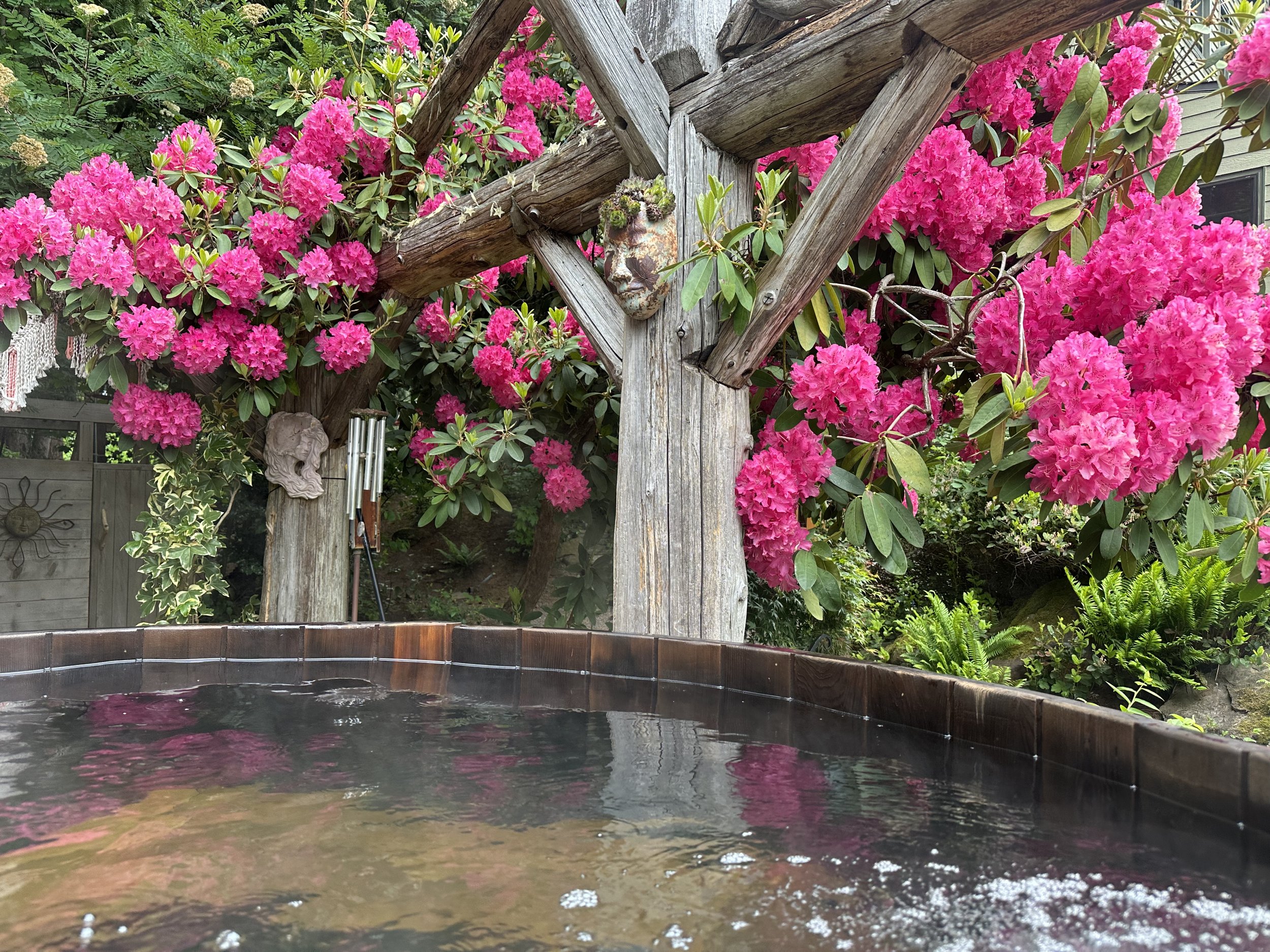 A hot tub with water in a garden with pink rhododendron flowers, a weathered wooden arch, and garden ornaments including a face sculpture and a bust, surrounded by green foliage.
