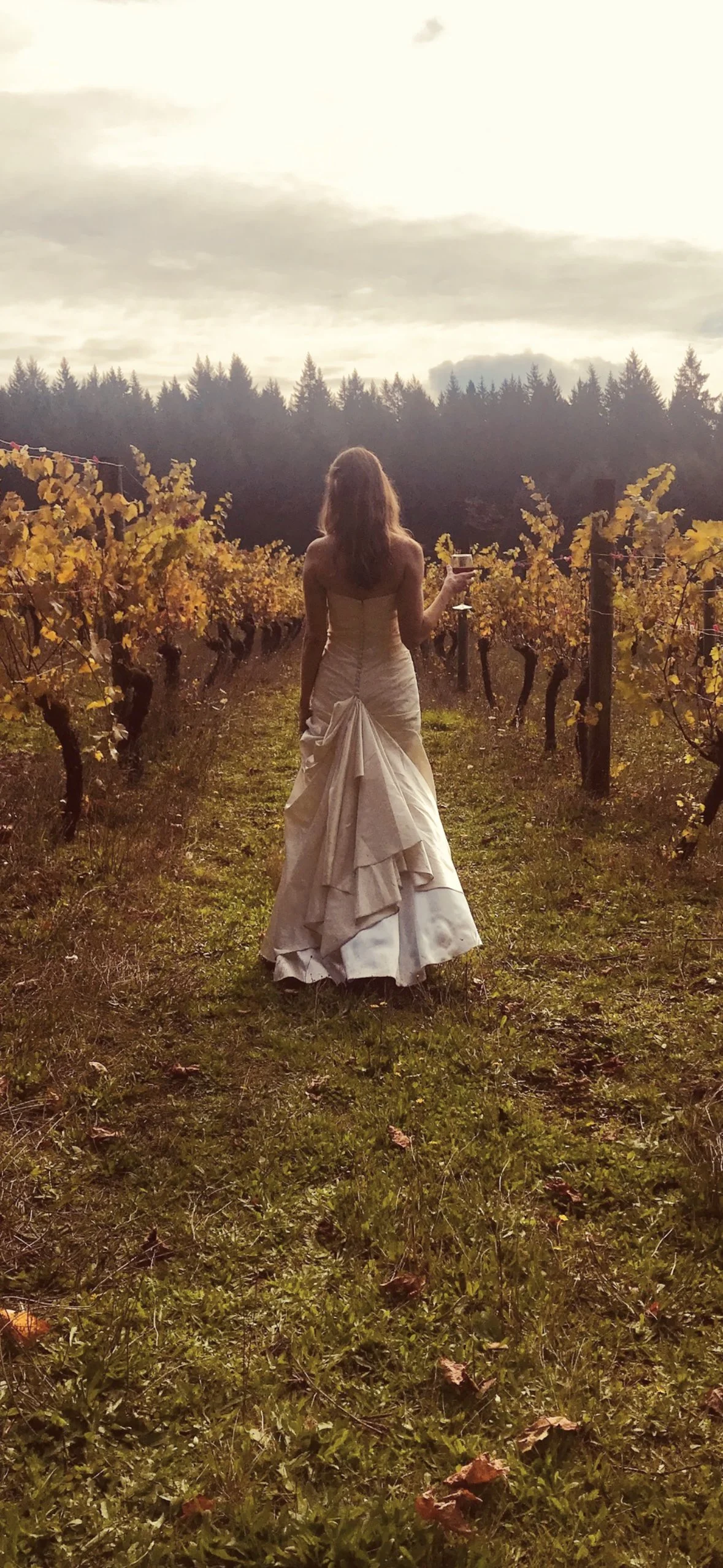 A woman in a wedding dress standing in a vineyard holding a glass of wine at sunset.