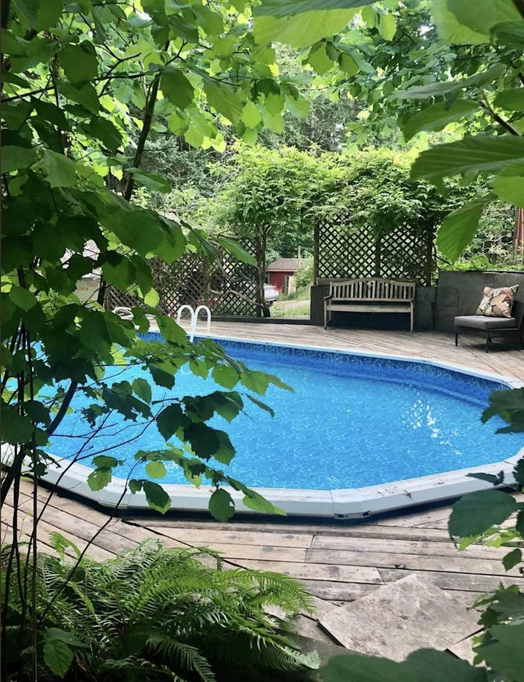 A backyard swimming pool surrounded by wooden decking and lush green foliage, with a wooden bench, a cushioned chair, and a trellis covered with plants in the background.