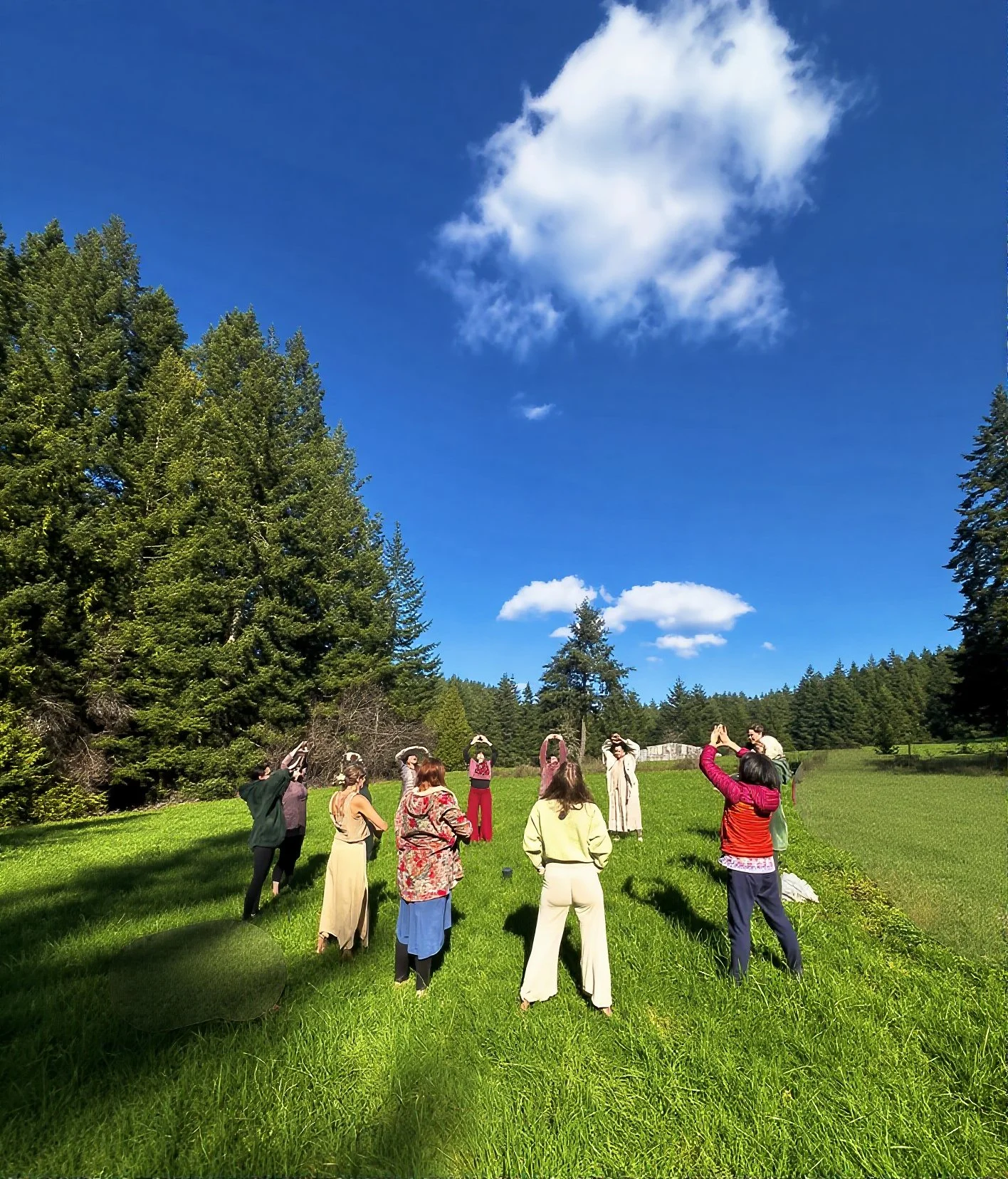 A group of people standing on a lush green field surrounded by trees, participating in an outdoor yoga or meditation session on a sunny day under a blue sky with a few clouds.