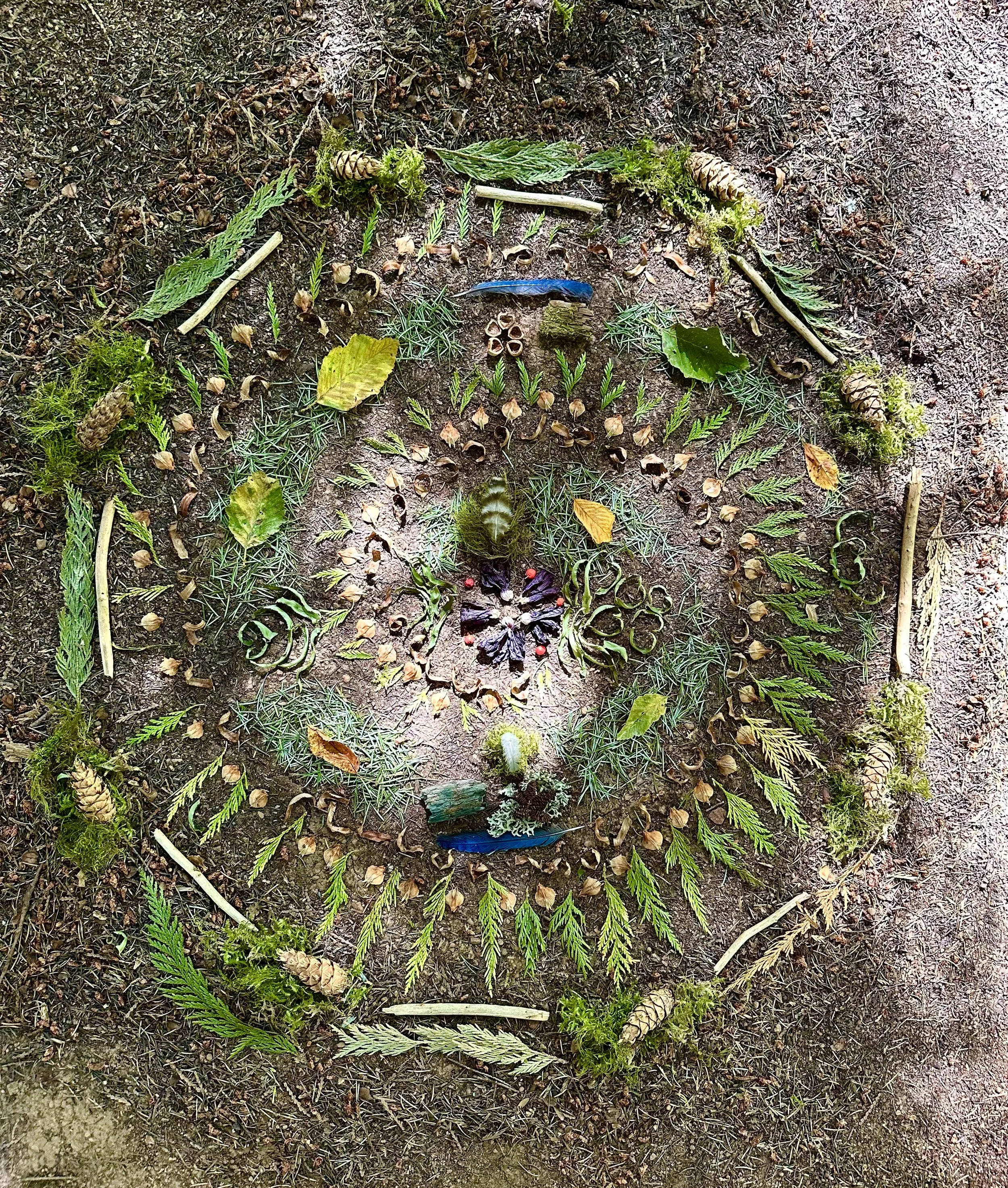 A spiral pattern made with natural elements such as leaves, pinecones, twigs, moss, and small stones on the ground.