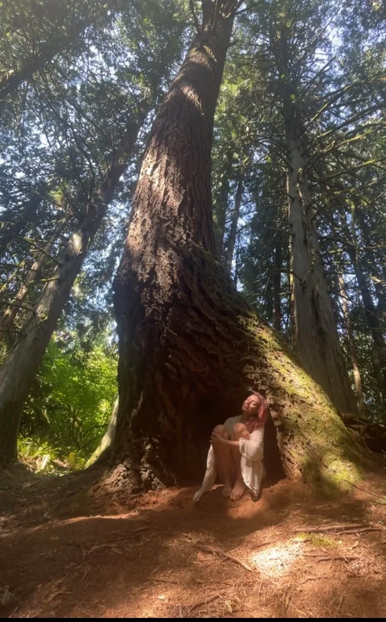 A woman sitting at the base of a large tree in a forest, surrounded by greenery and tall trees, with sunlight filtering through the leaves.