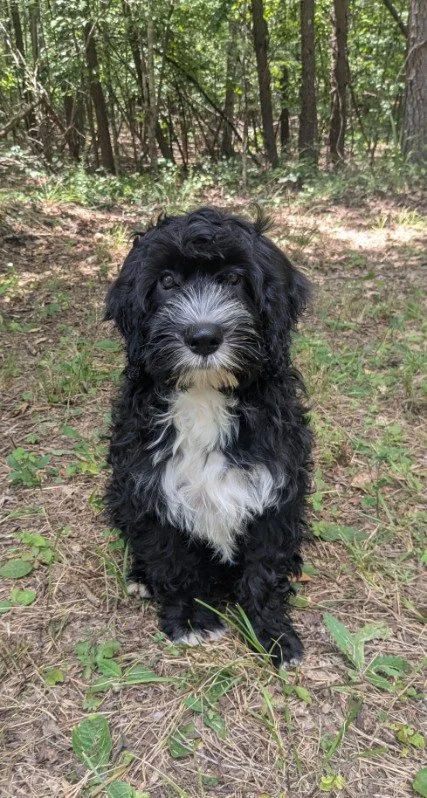 Fourteen Weeks Old!!!