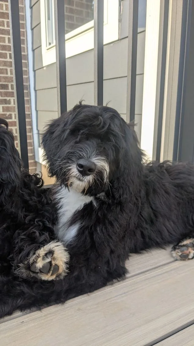 Willow week16 pic4.jpg