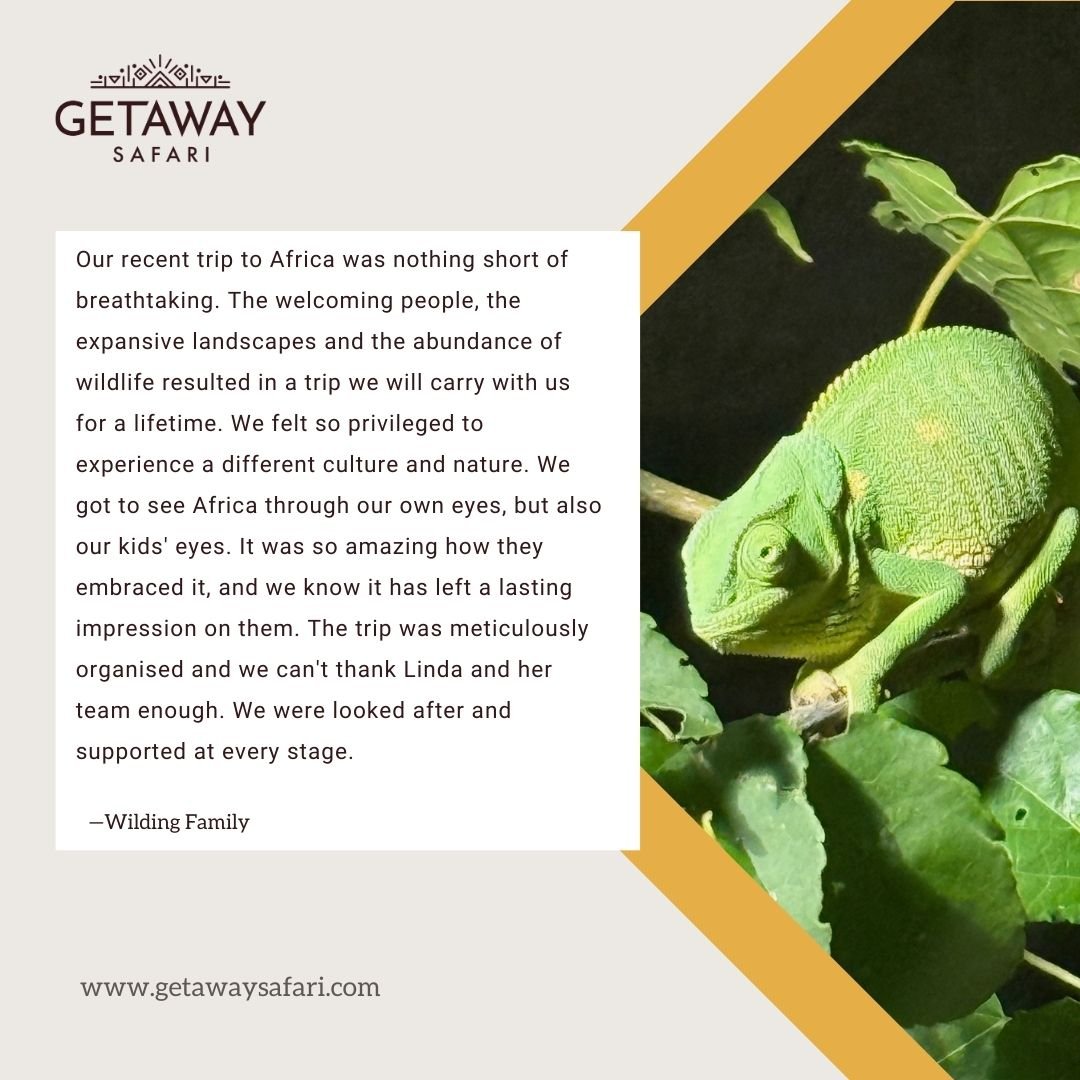 The Wilding family have just been on safari in Botswana and they had a wonderful time. Collectively we had been planning this for the past 9 months and it is always exciting to see it all come together and to get such wonderful feedback. They had som