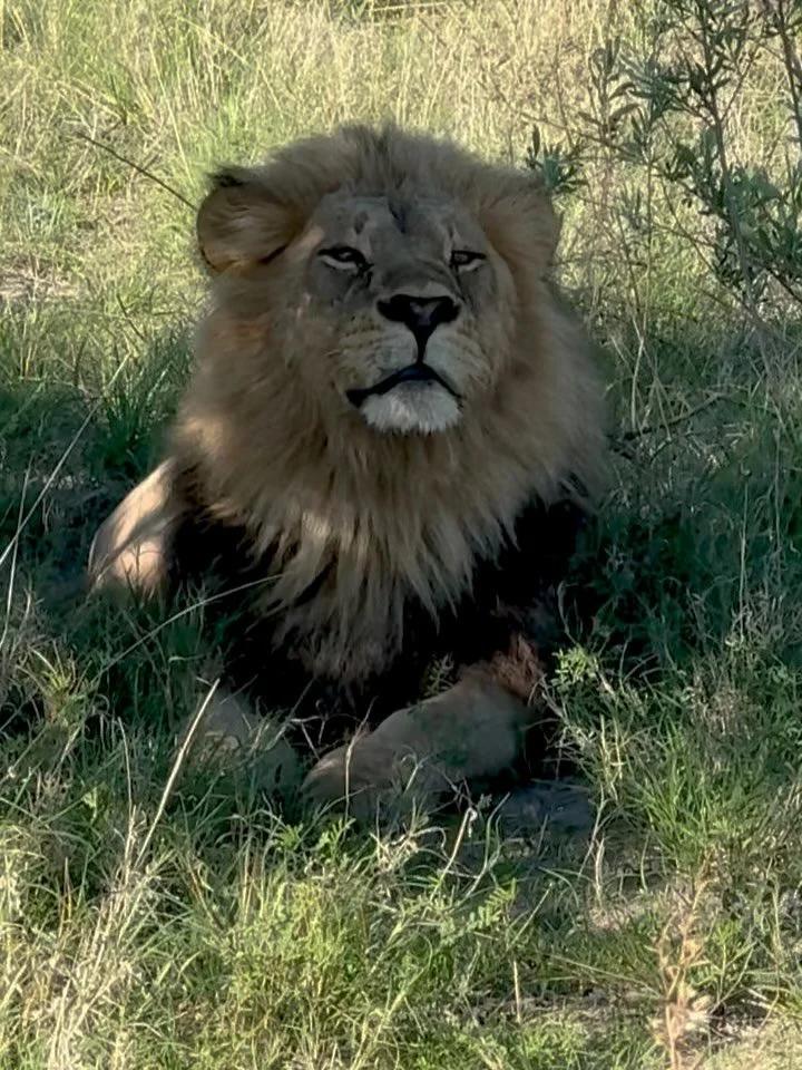 We made it!! As 2025 comes to a close we can reflect on an incredible year with some of our favourite moments.  Thank you to all our wonderful guests- this has been our busiest year since we began in 2004.  Borneo and Bhutan were our new destinations