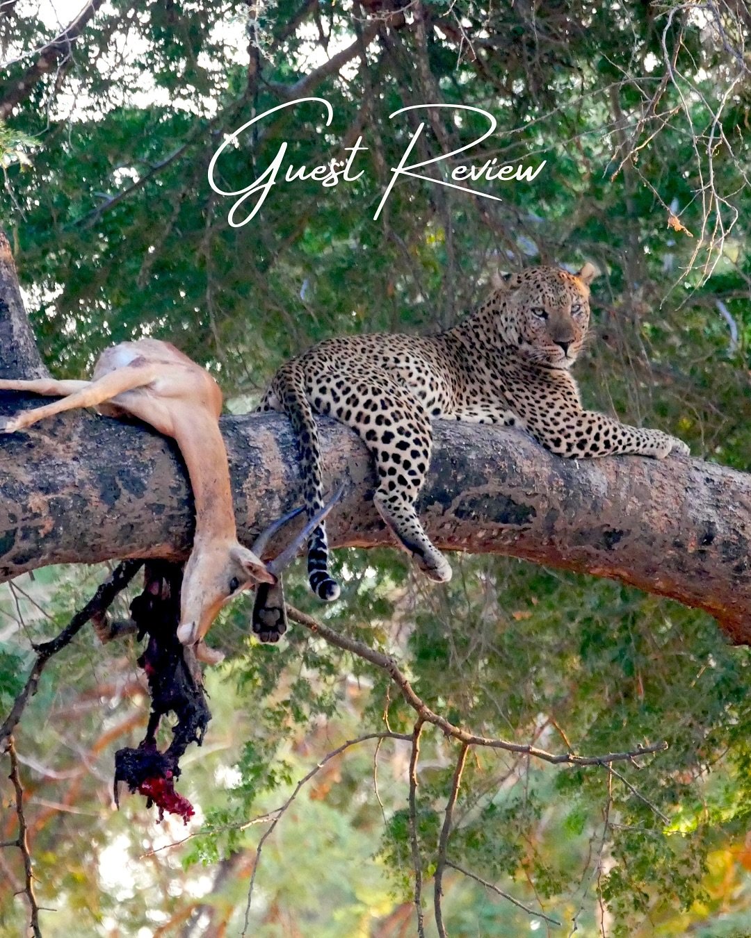 We always love hearing from guests. Sue and Shannon had a wonderful itinerary- primates to rivers to beach - they saw it all! 

&ldquo;This holiday of a life-time to Zanzibar, Rwanda and Zambia was even more special than we had anticipated &ndash; am