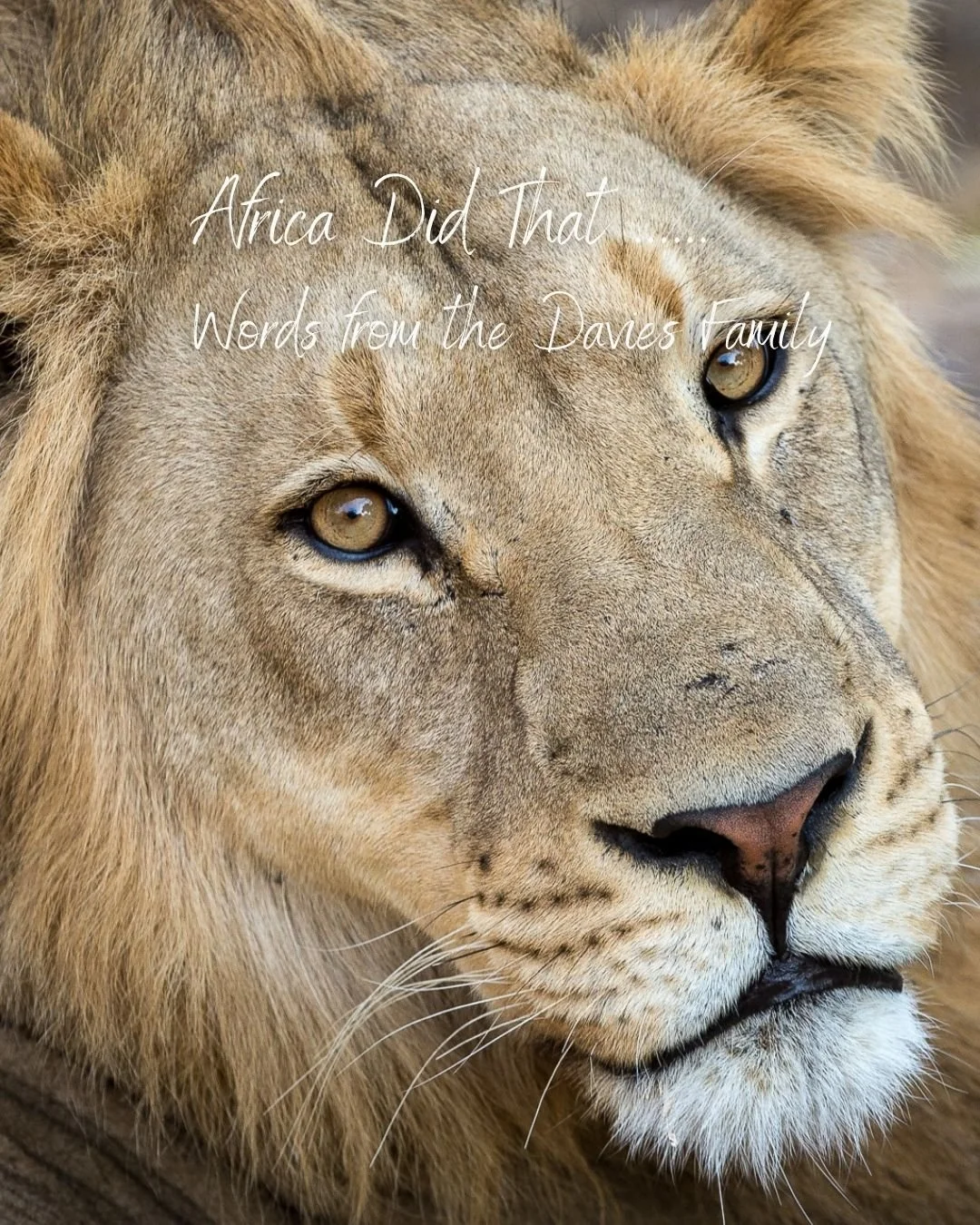 We love hearing from guests when they are home and have time to reflect on their holiday.
The Davies family spent time in Botswana, Vic Falls &amp; Namibia. Their kids were aged between 14-19, and to say they had a blast is an understatement!

We are