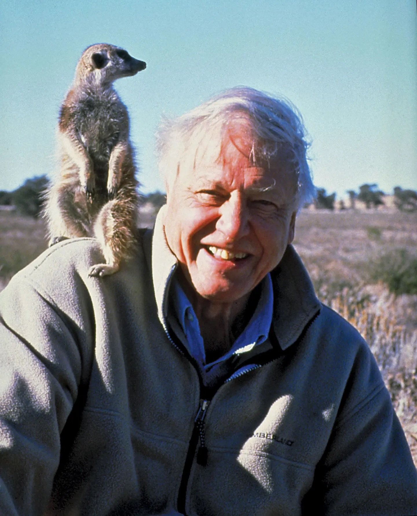 One extraordinary voice. 
Happy Birthday, Sir David Attenborough, the man who continues to make the whole world fall in love with nature. 
From the depths of the ocean to the heart of the African plains, you have given a voice to the wild places and 