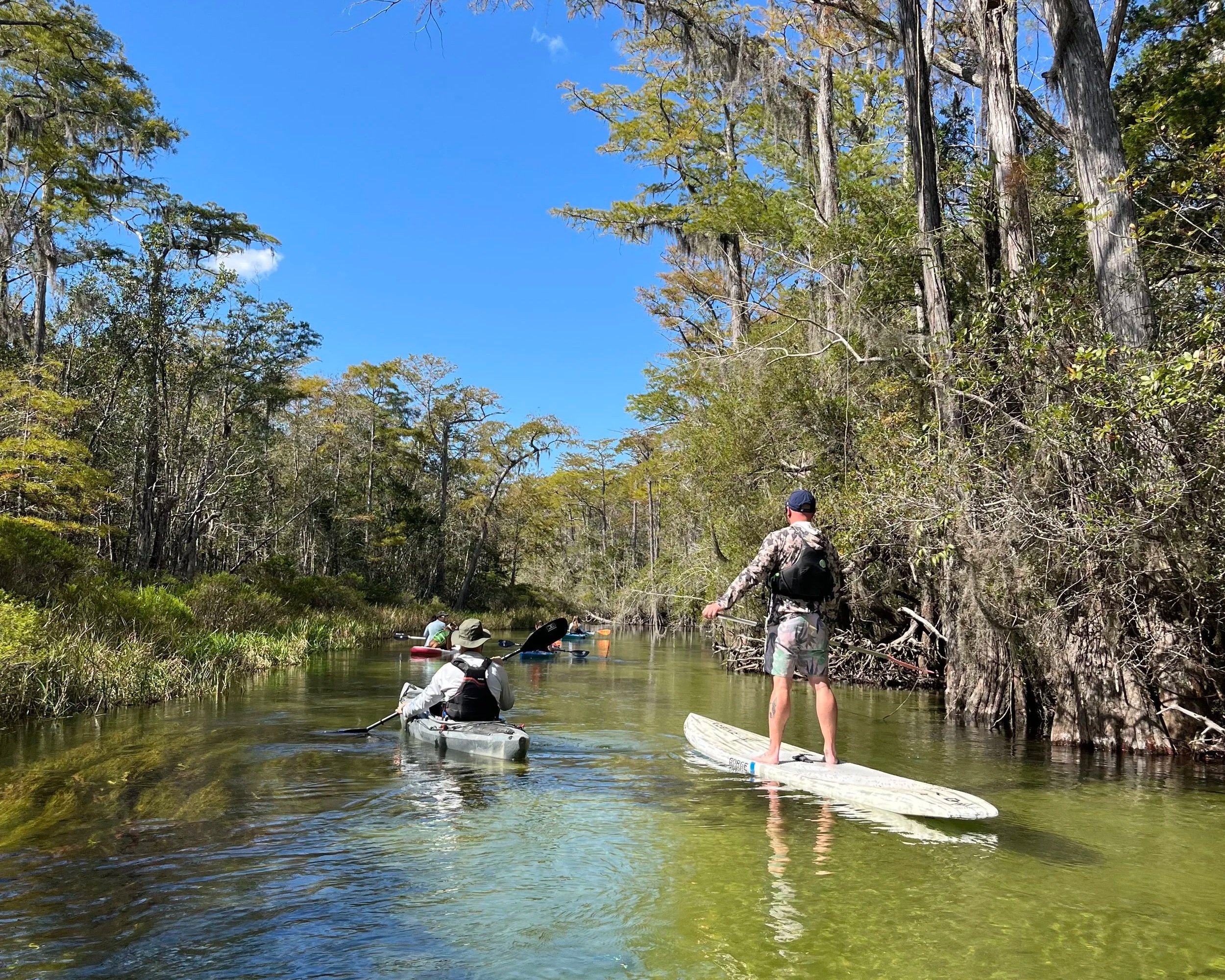 People paddleboarding and kayaking on a narrow creek surrounded by dense trees under a clear blue sky.